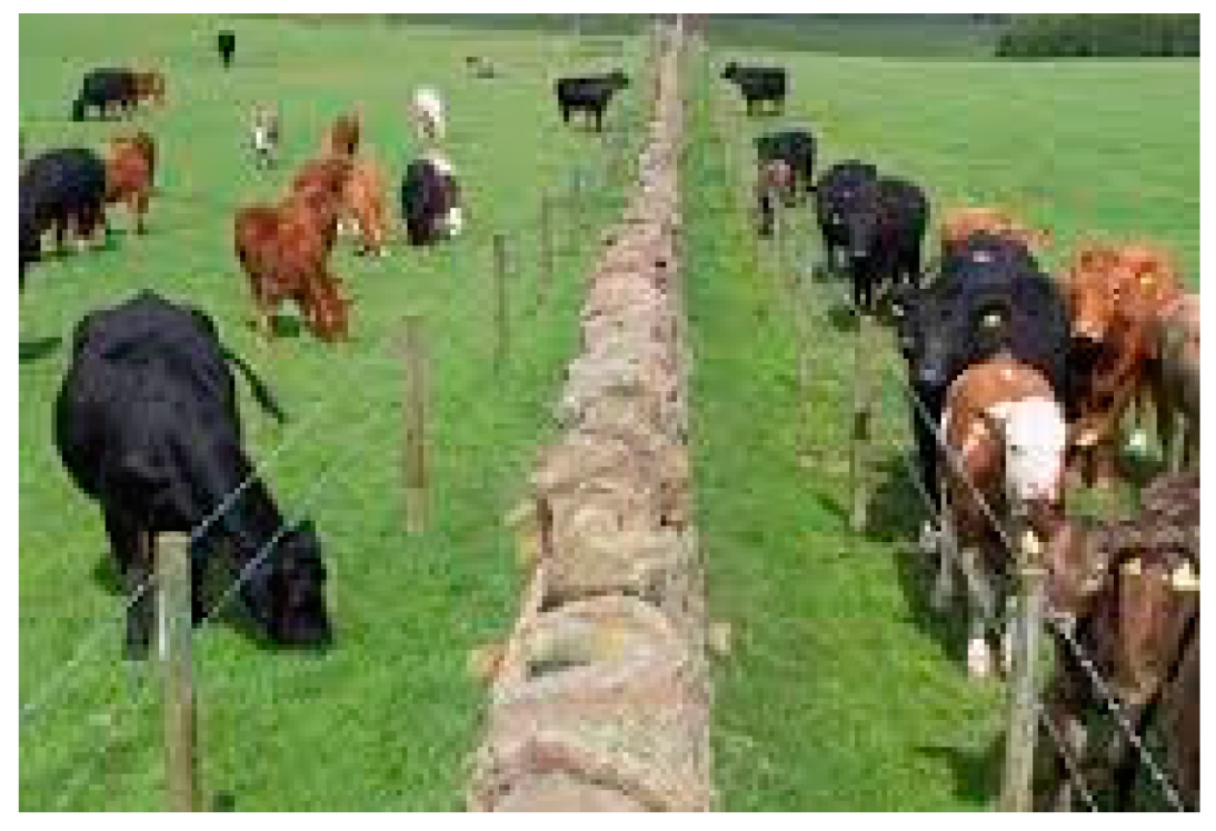 Ijerph 17 00209 g002