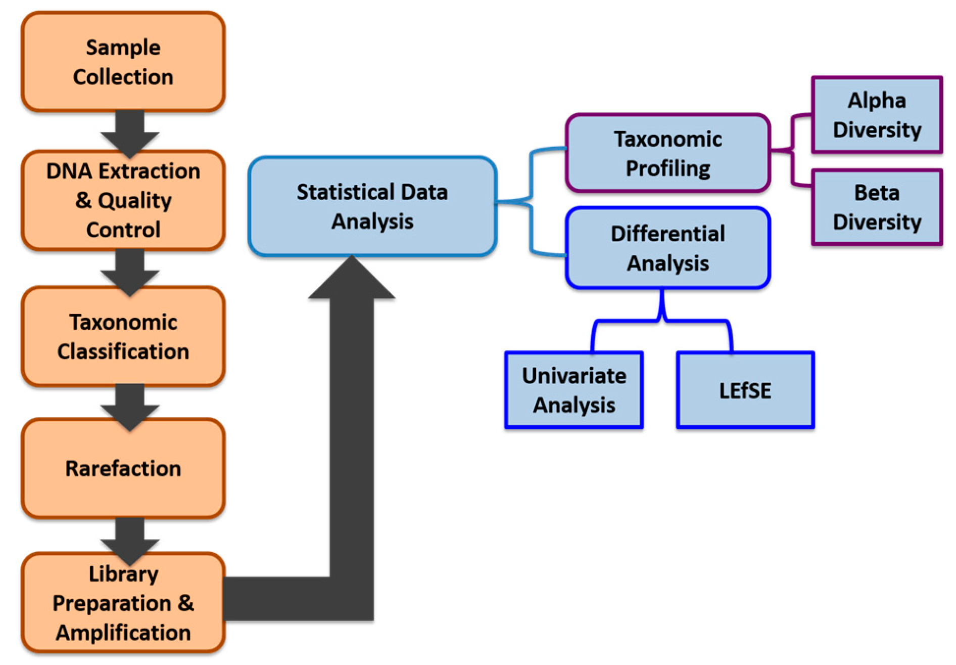 Ijerph 17 00256 g001