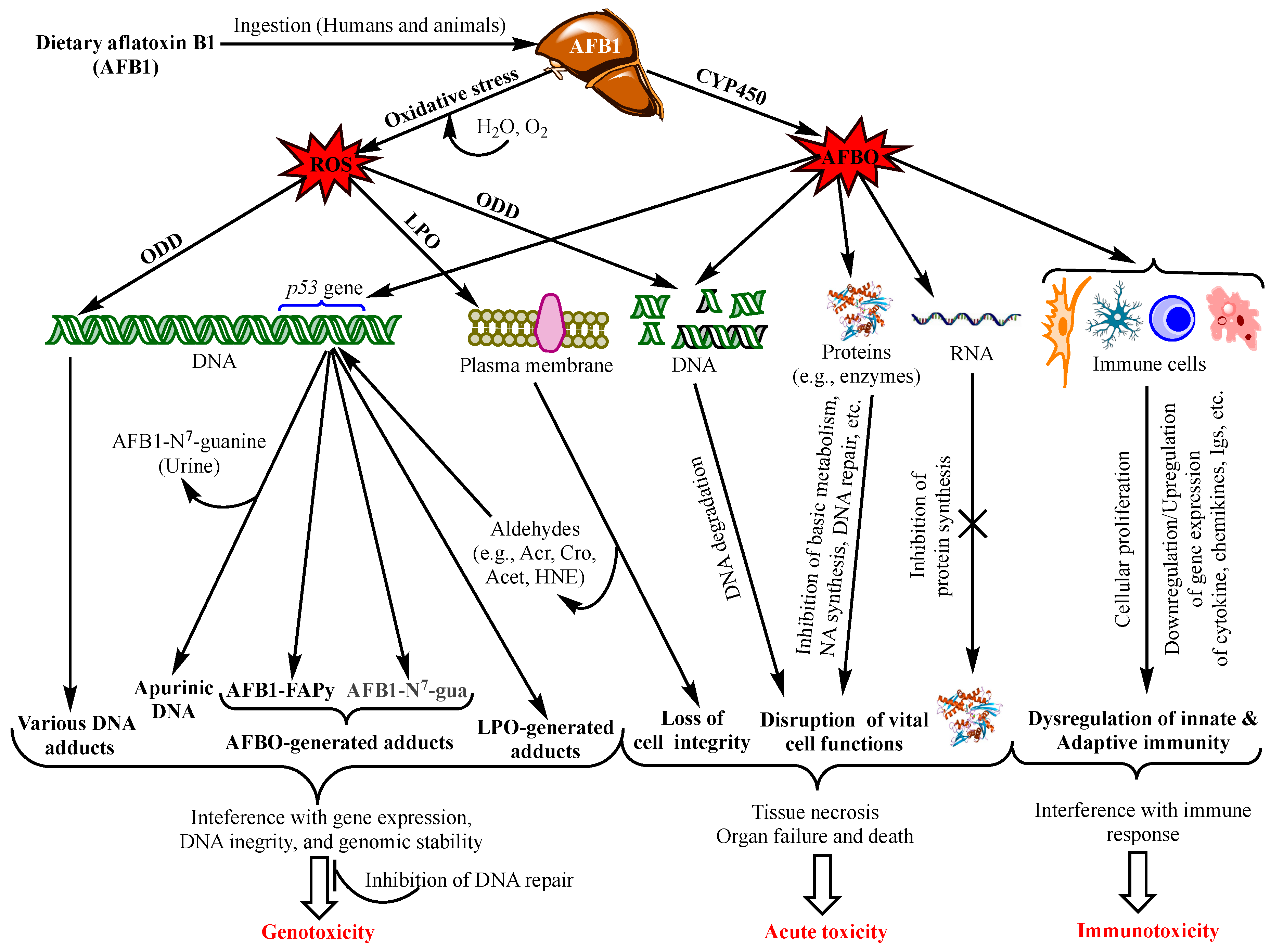 Ijerph 17 00423 g001