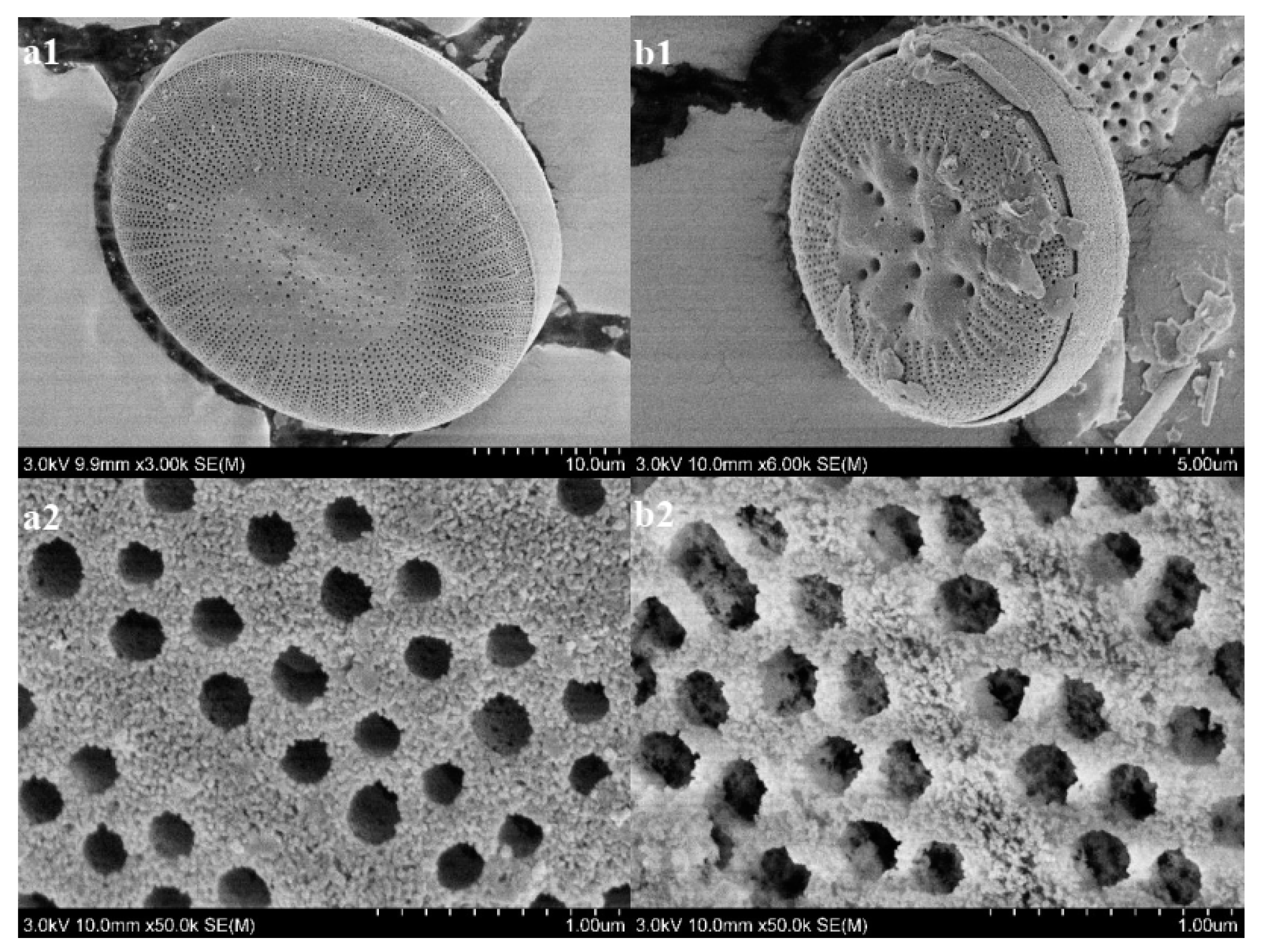 Ijerph 17 00429 g003