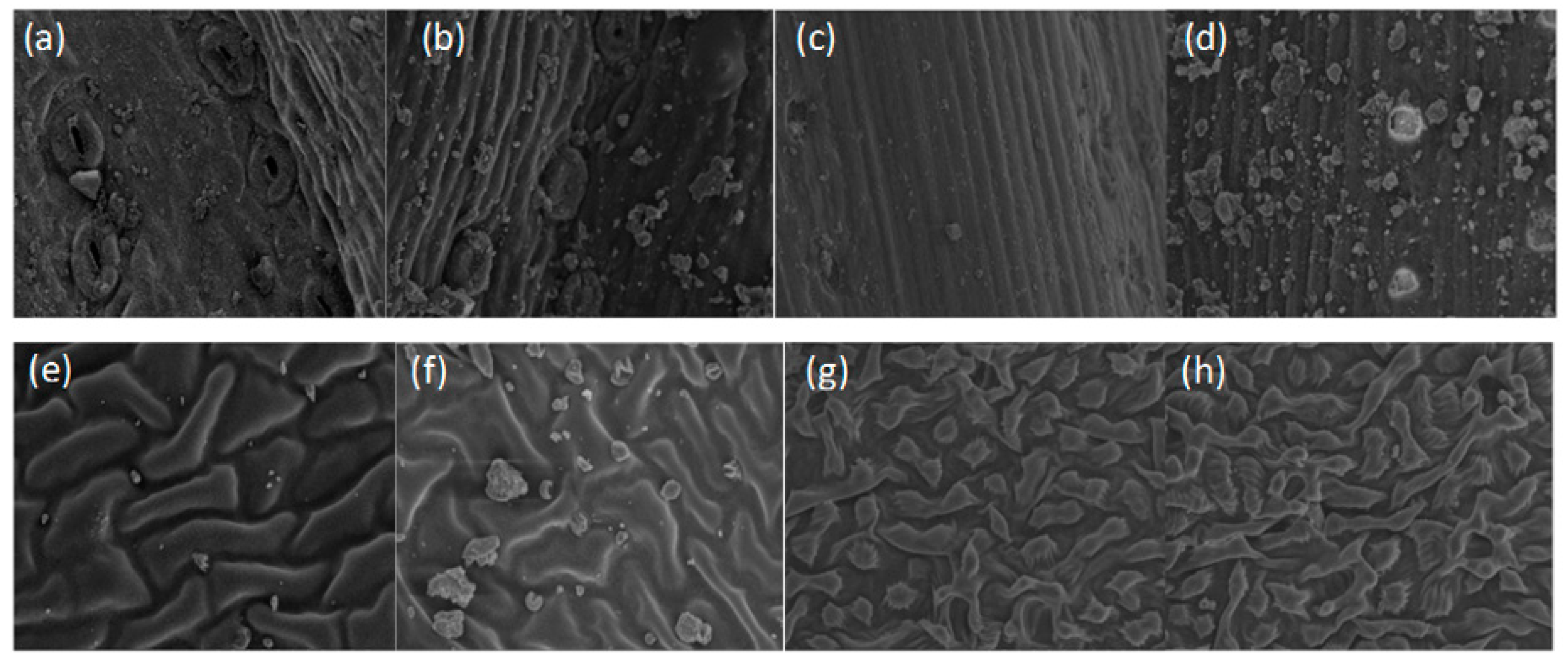 Ijerph 17 00478 g013