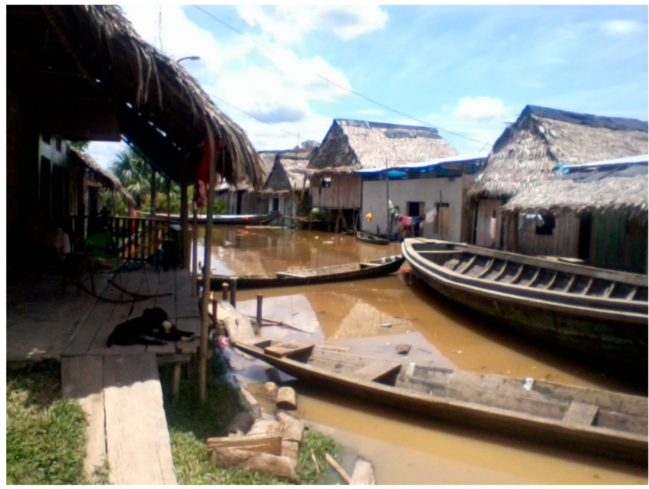 Ijerph 17 00487 g001