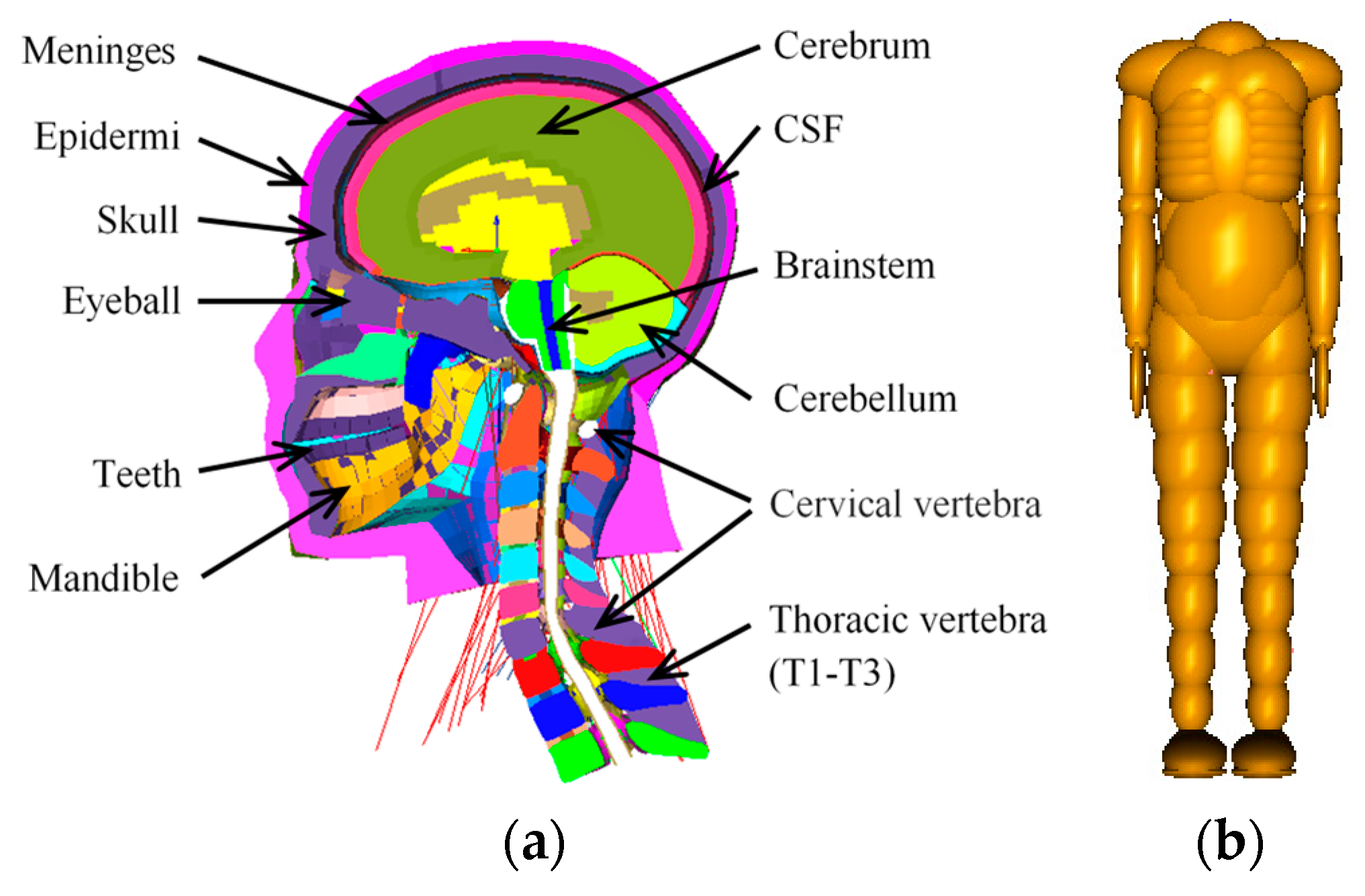 Ijerph 17 00492 g001