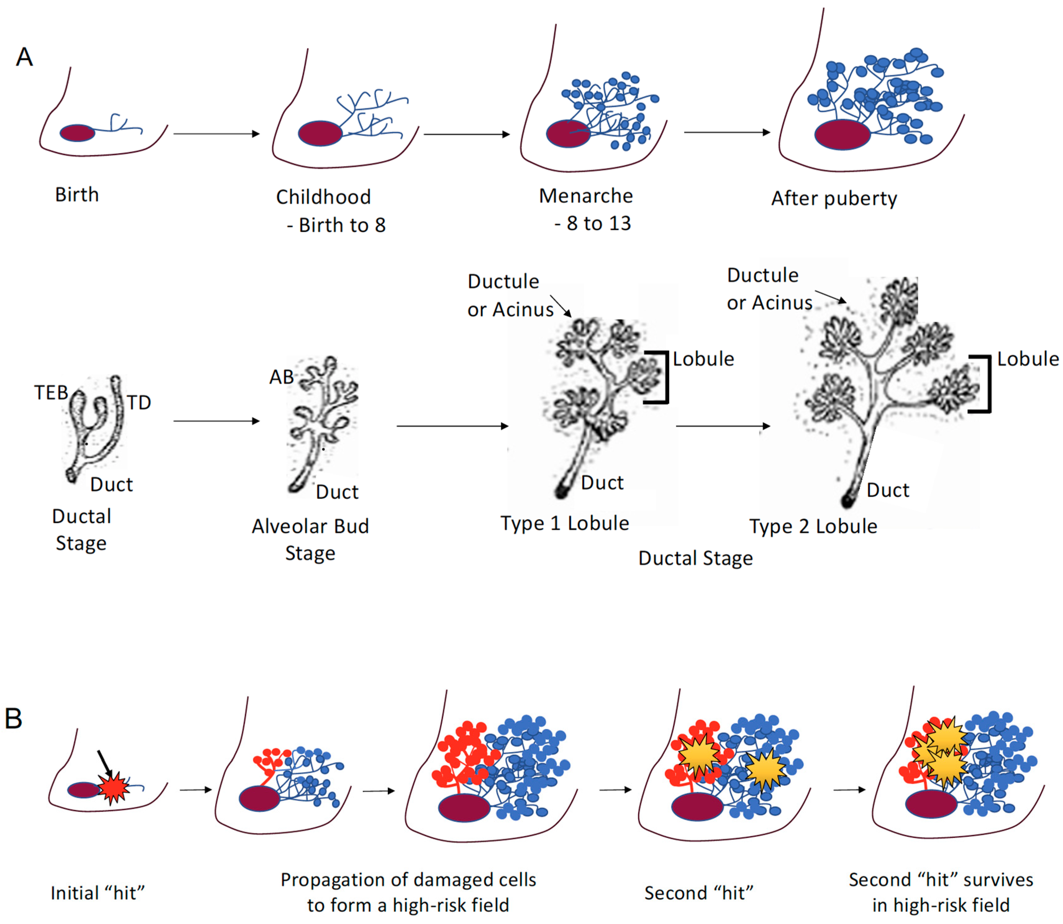 Ijerph 17 00493 g001