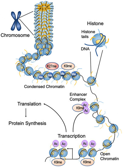 Ijerph 17 00493 g002