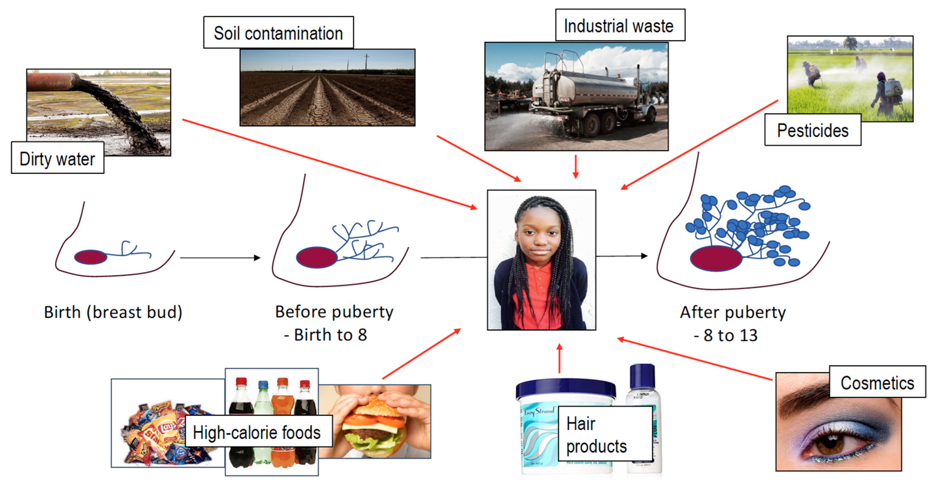 Ijerph 17 00493 g003