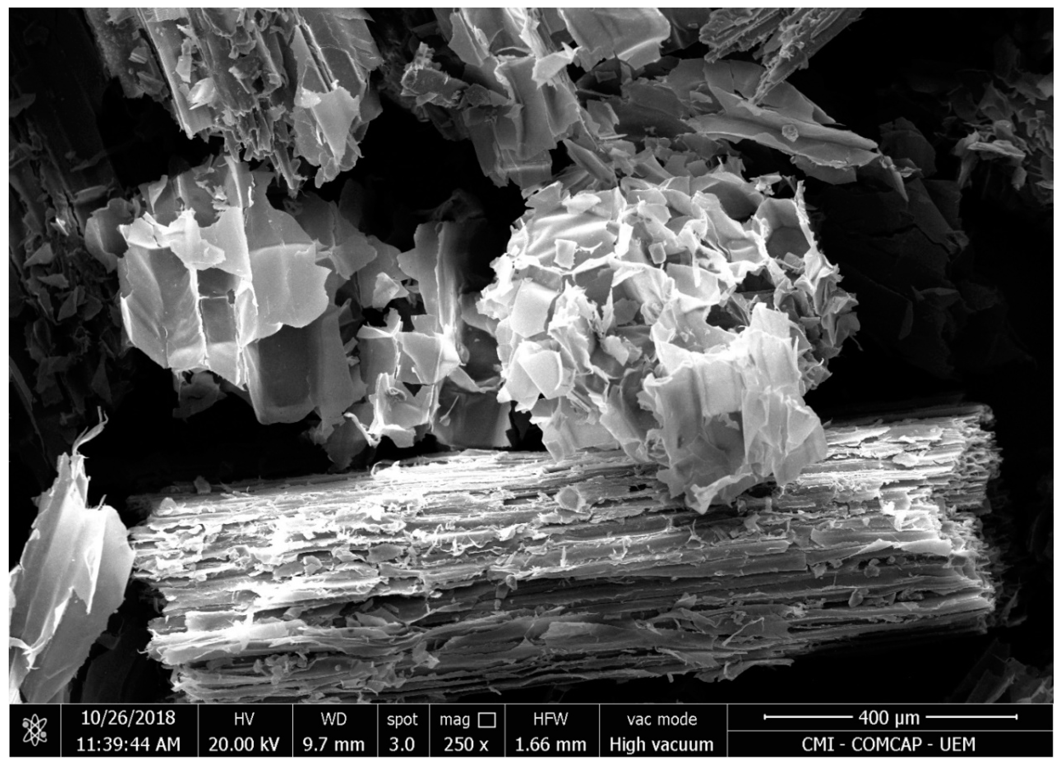 Ijerph 17 00526 g001