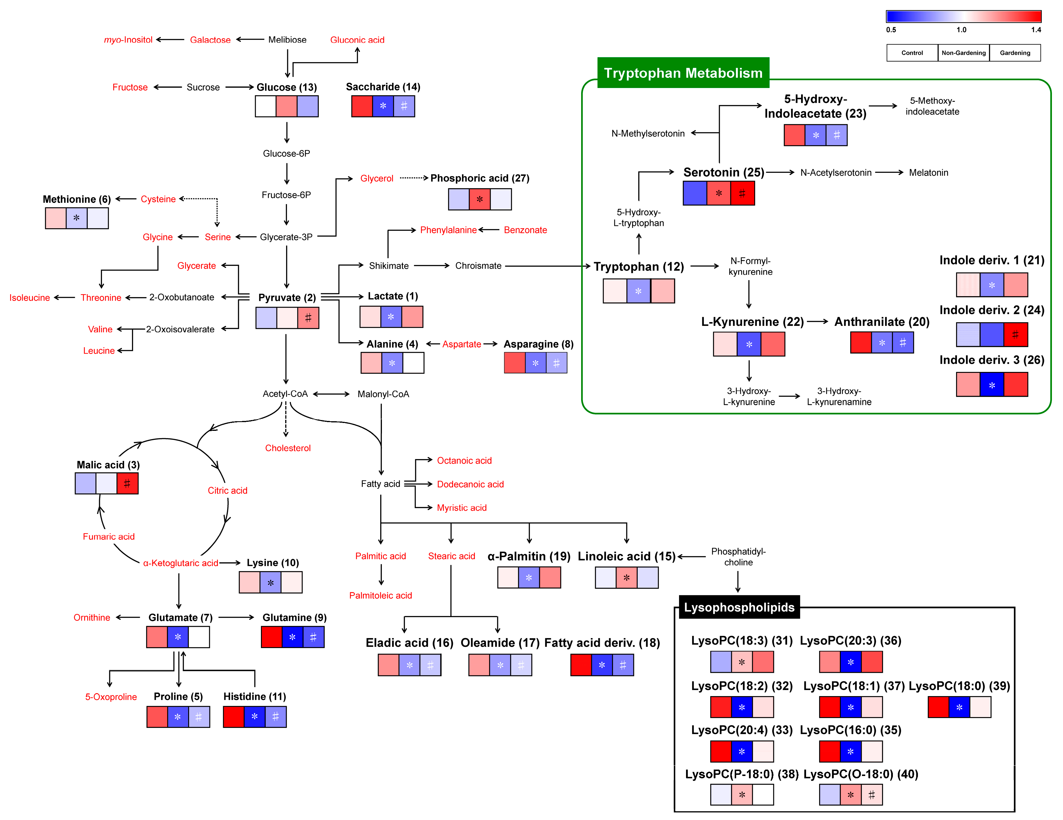 Ijerph 17 00541 g002