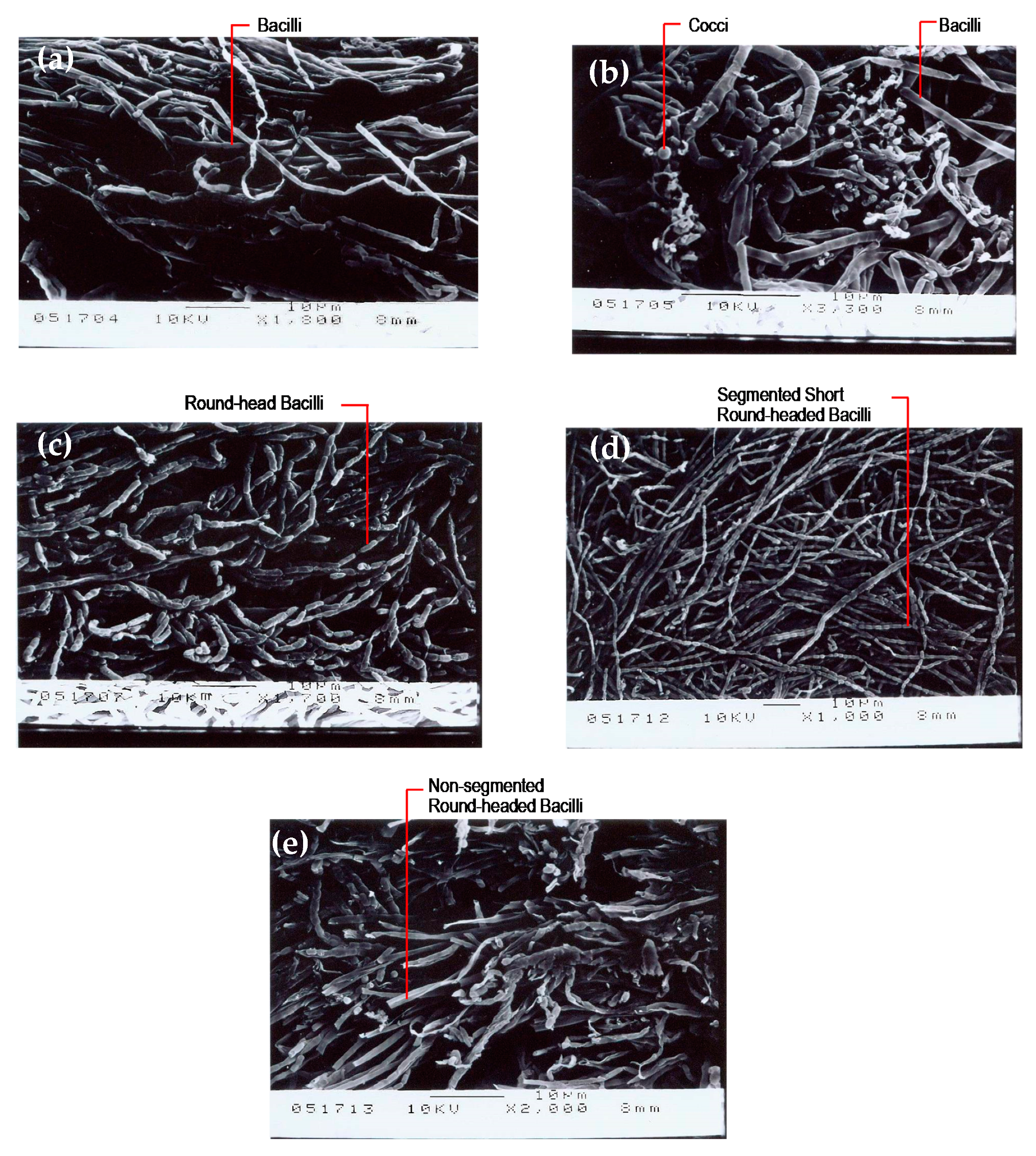 Ijerph 17 00544 g008
