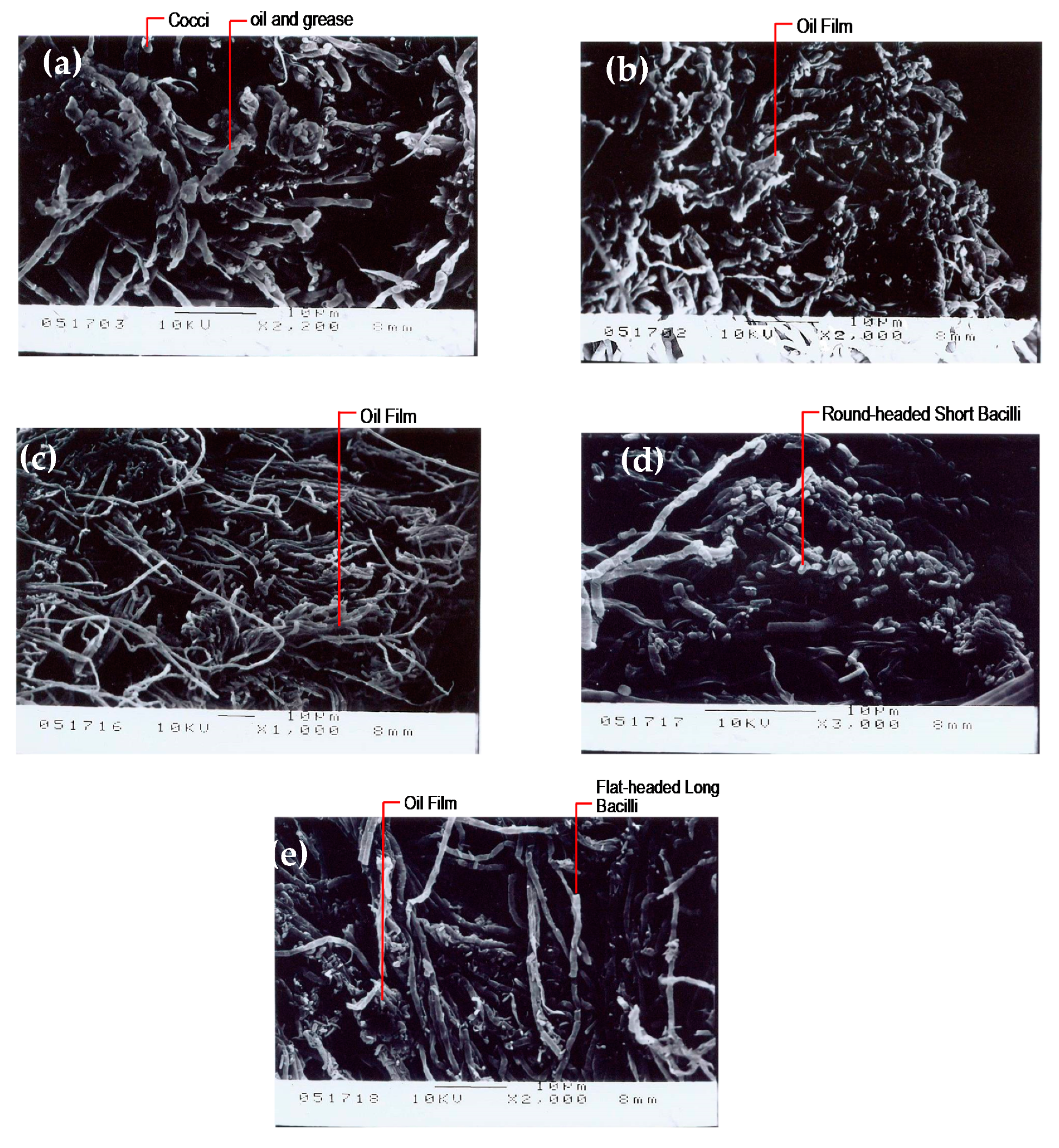 Ijerph 17 00544 g009