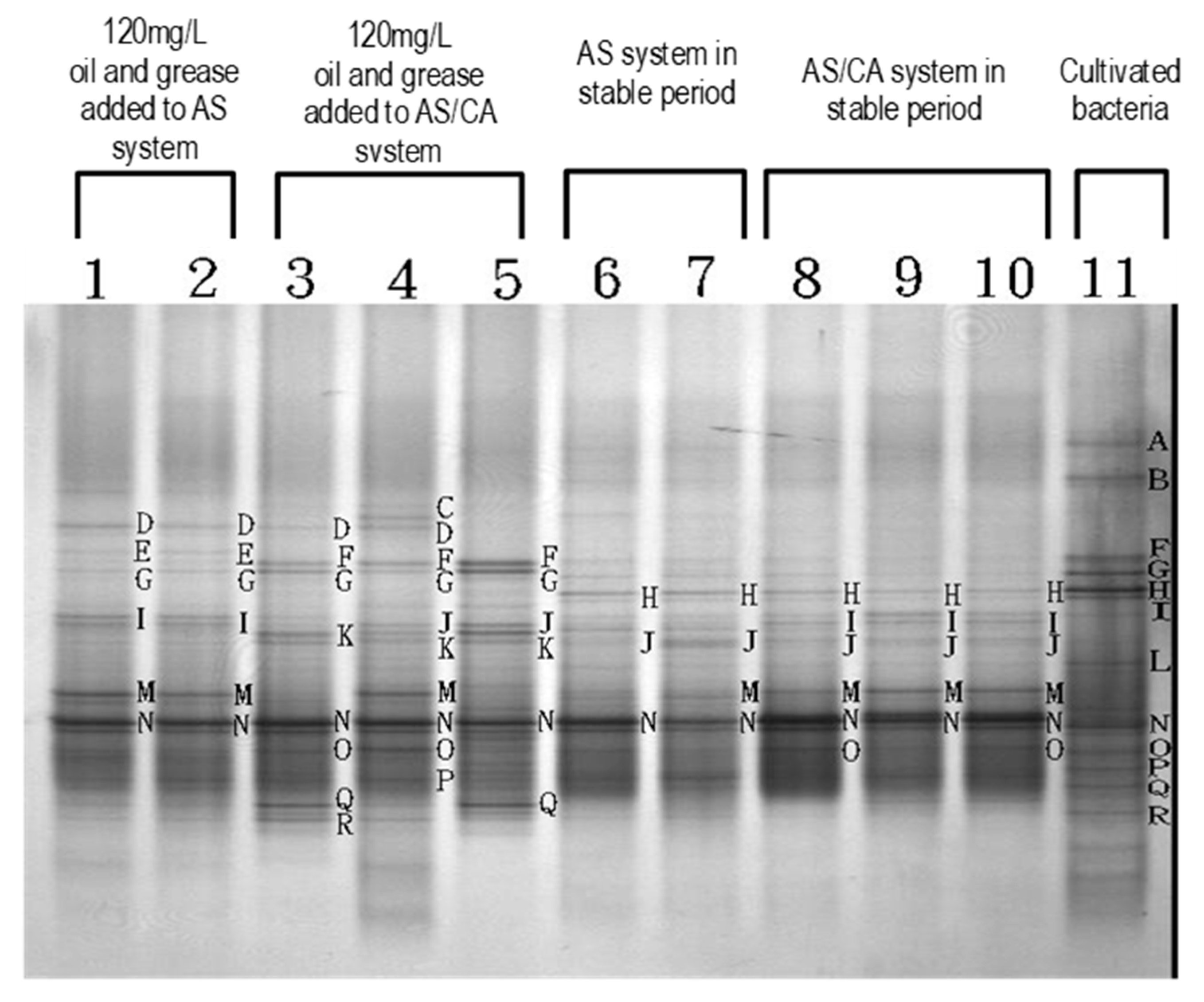 Ijerph 17 00544 g010