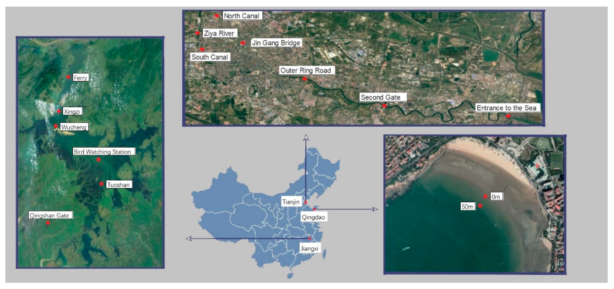 Ijerph 17 00552 g001