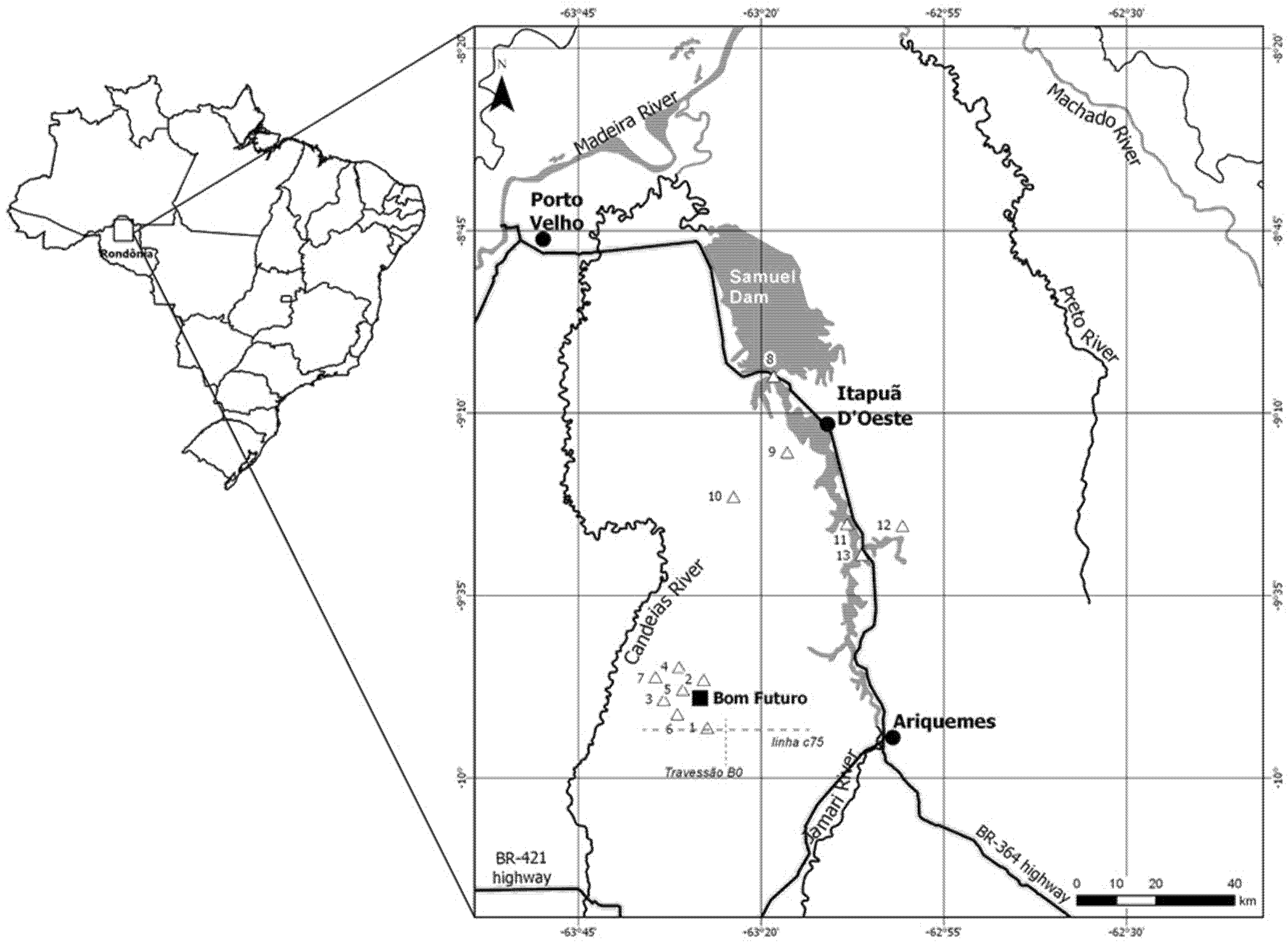 Ijerph 17 00577 g001