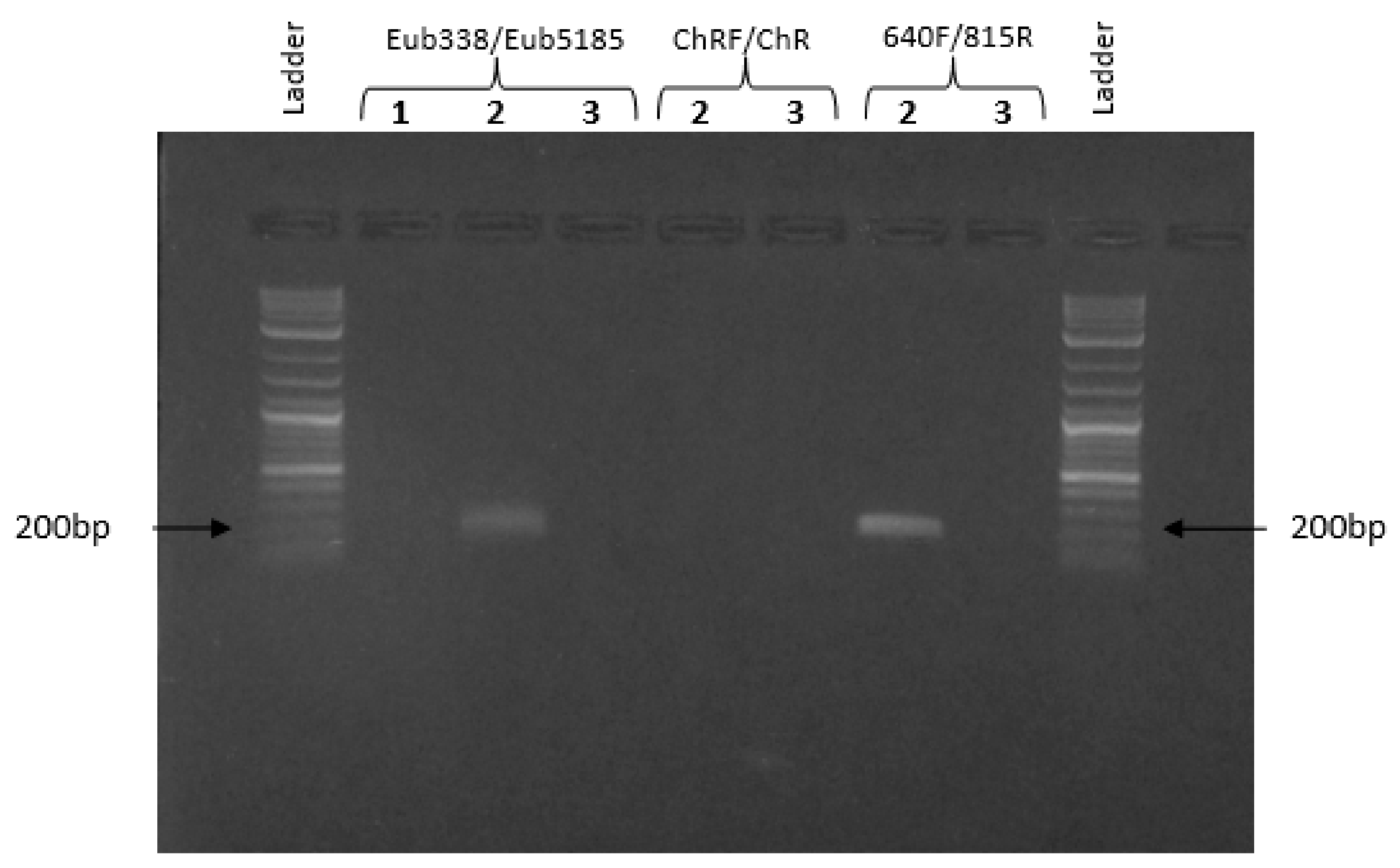 Ijerph 17 00704 g006