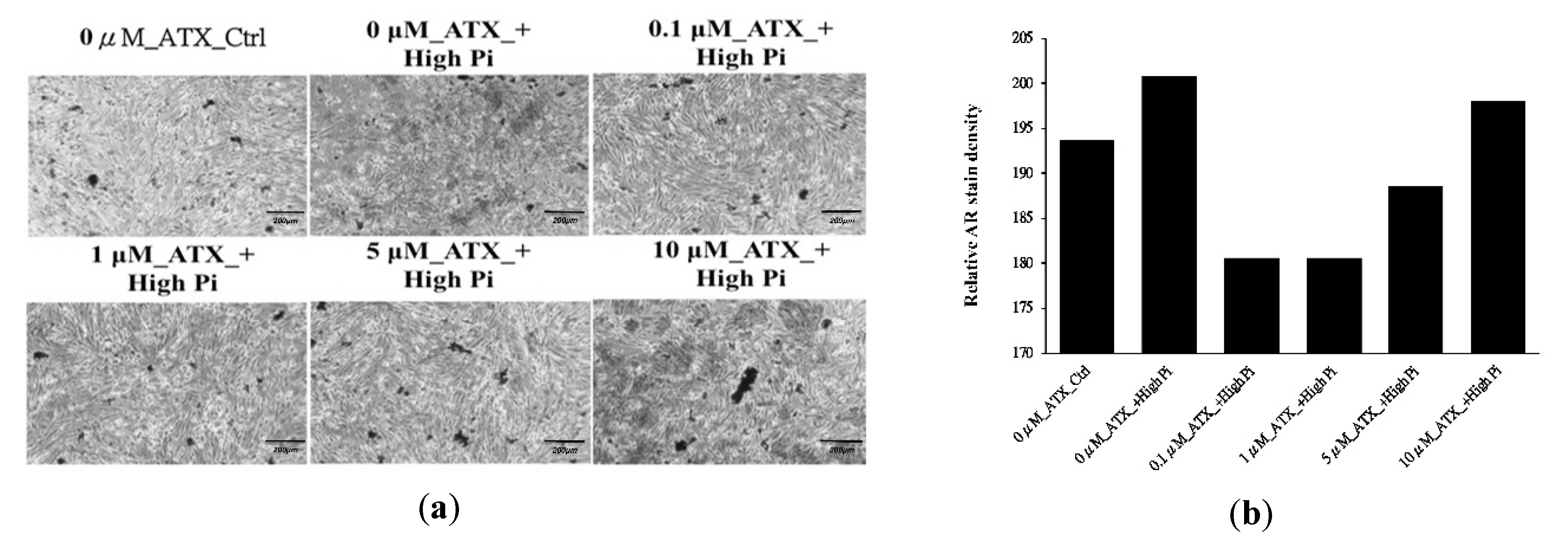 Ijerph 17 00740 g006