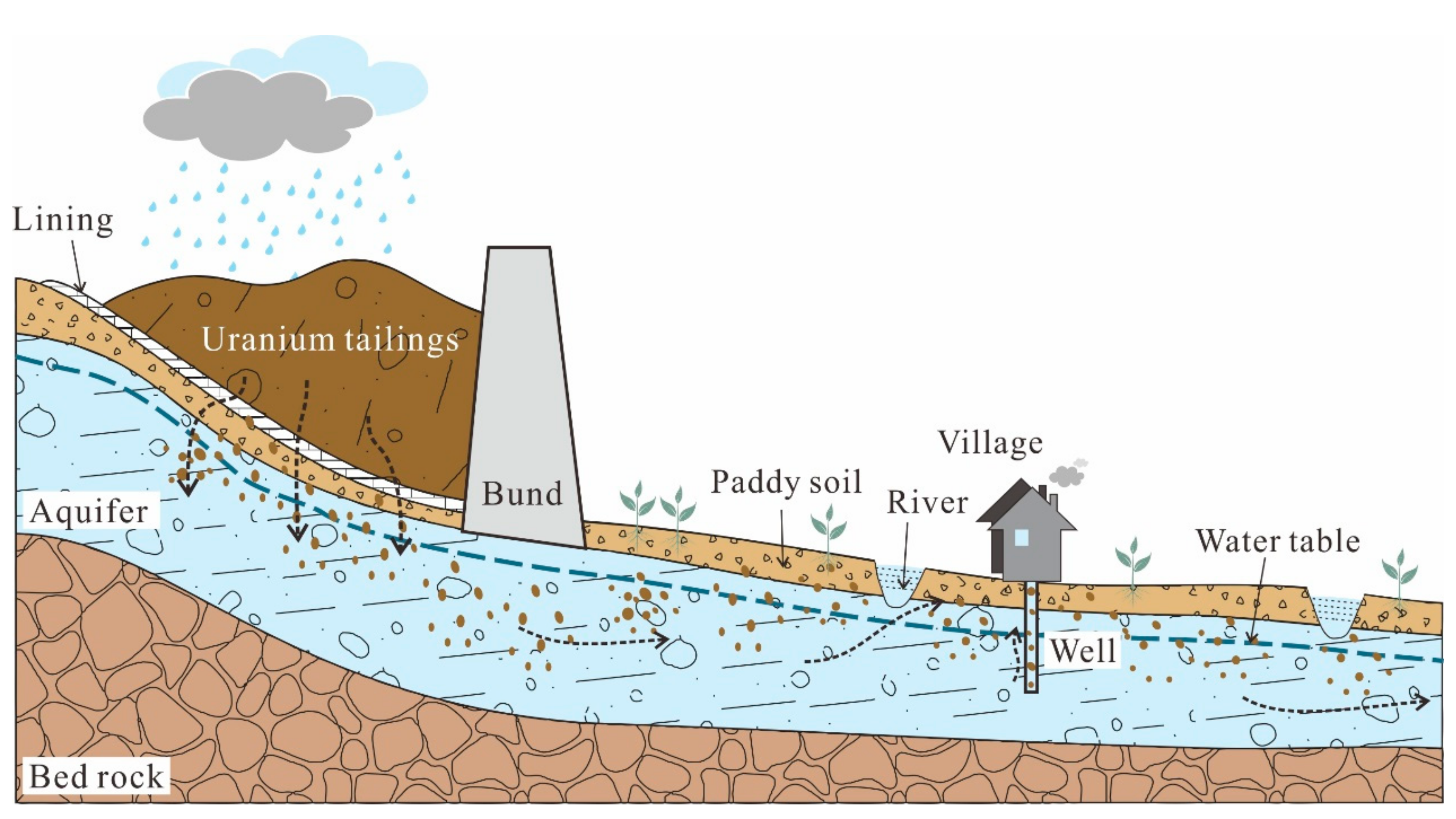 Ijerph 17 00773 g001