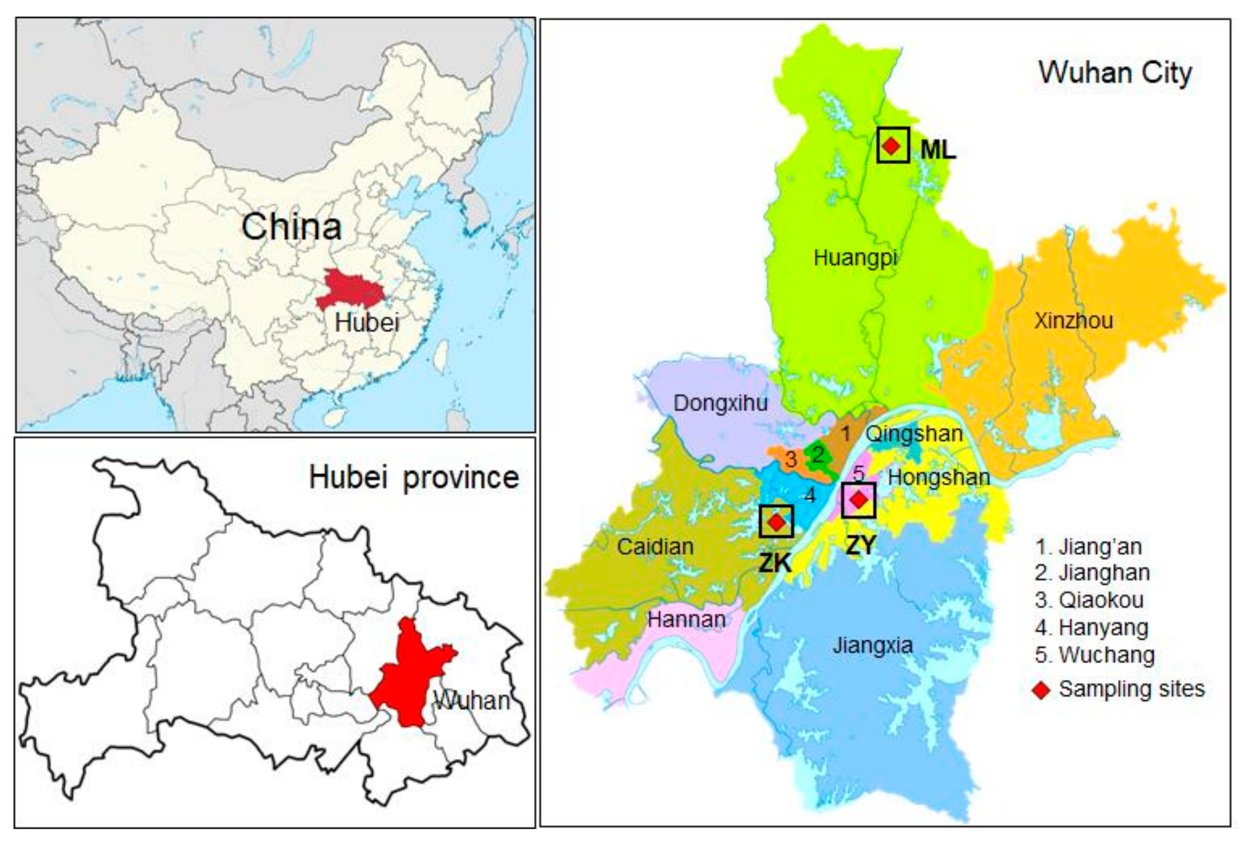 Ijerph 17 00791 g001