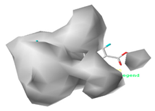 Ijerph 17 00942 i007 Ijerph 17 00942 i007