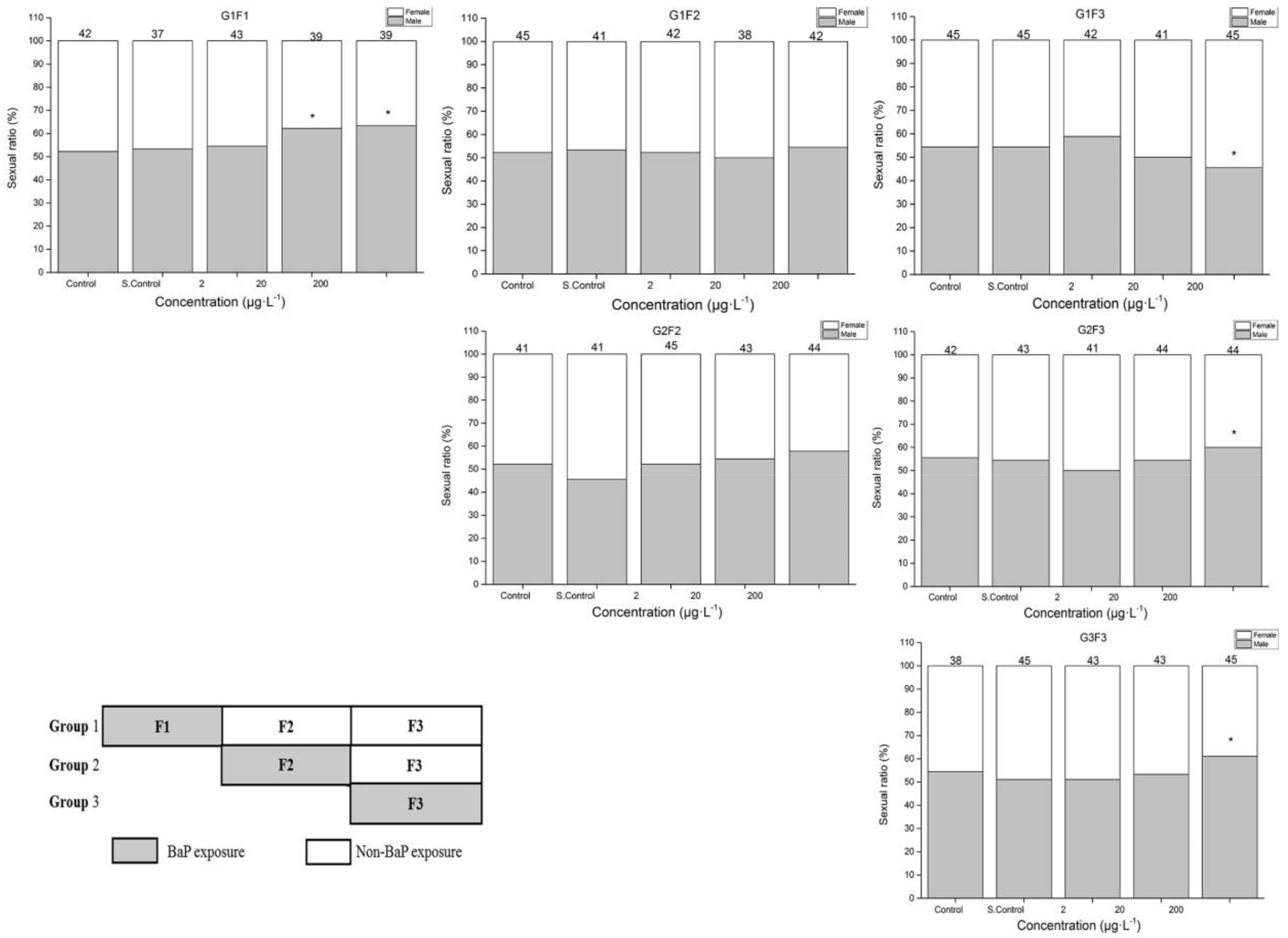 Ijerph 17 00970 g002