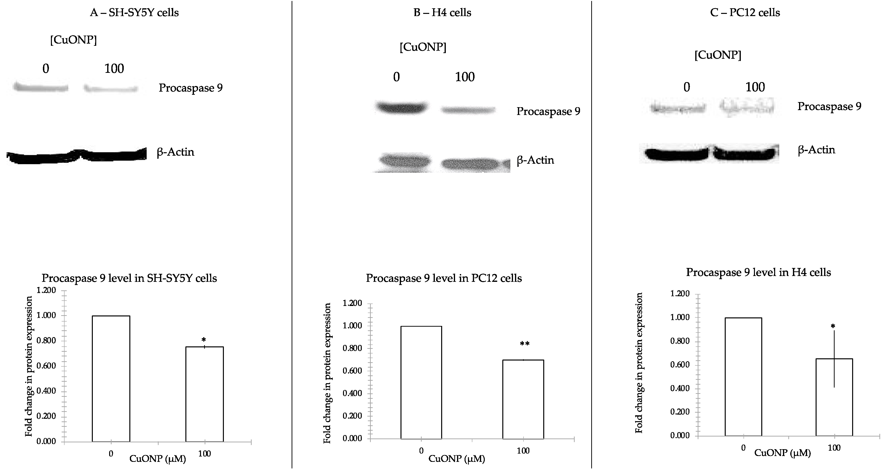 Ijerph 17 01005 g006 Ijerph 17 01005 g006
