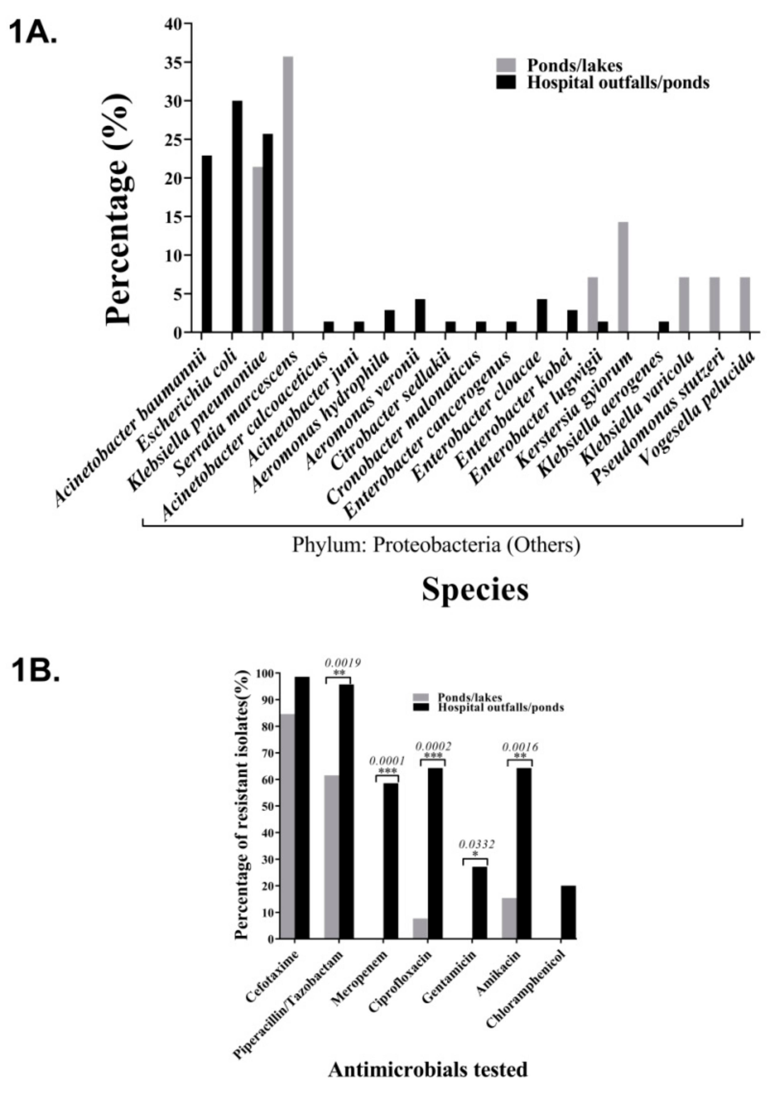 Ijerph 17 01007 g001
