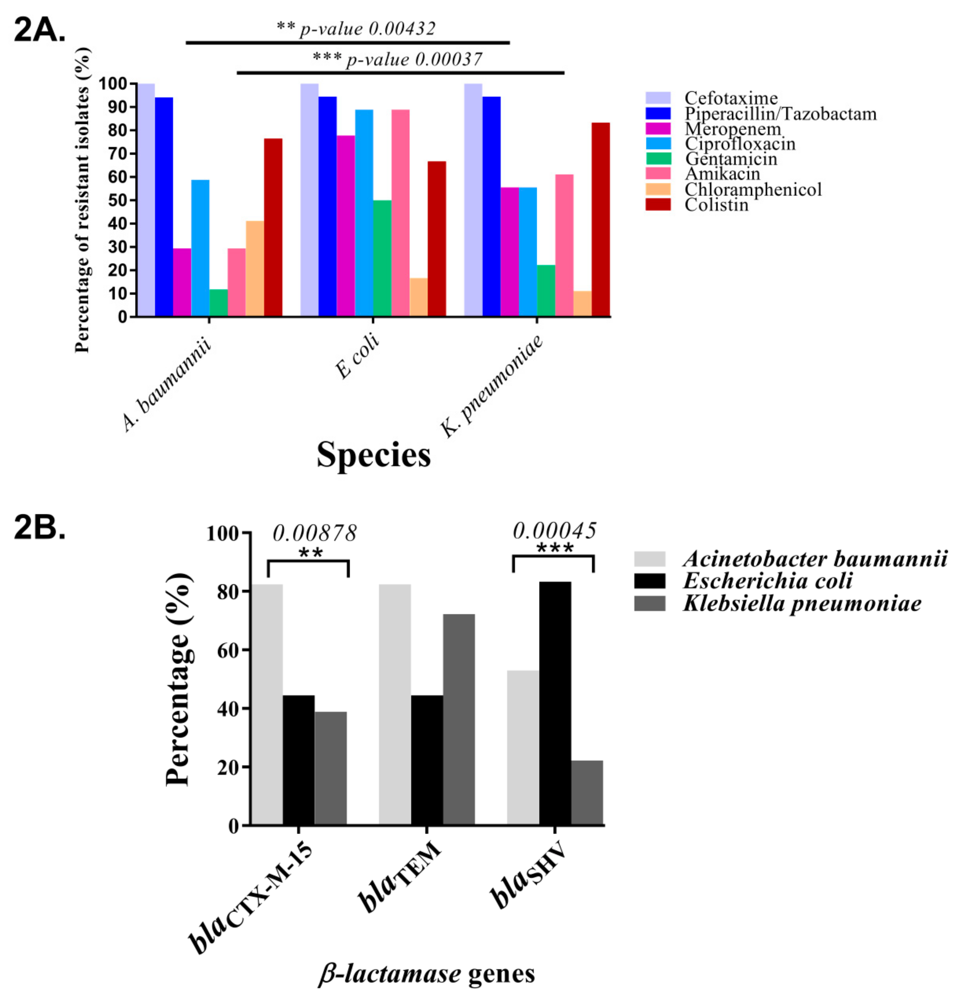 Ijerph 17 01007 g002