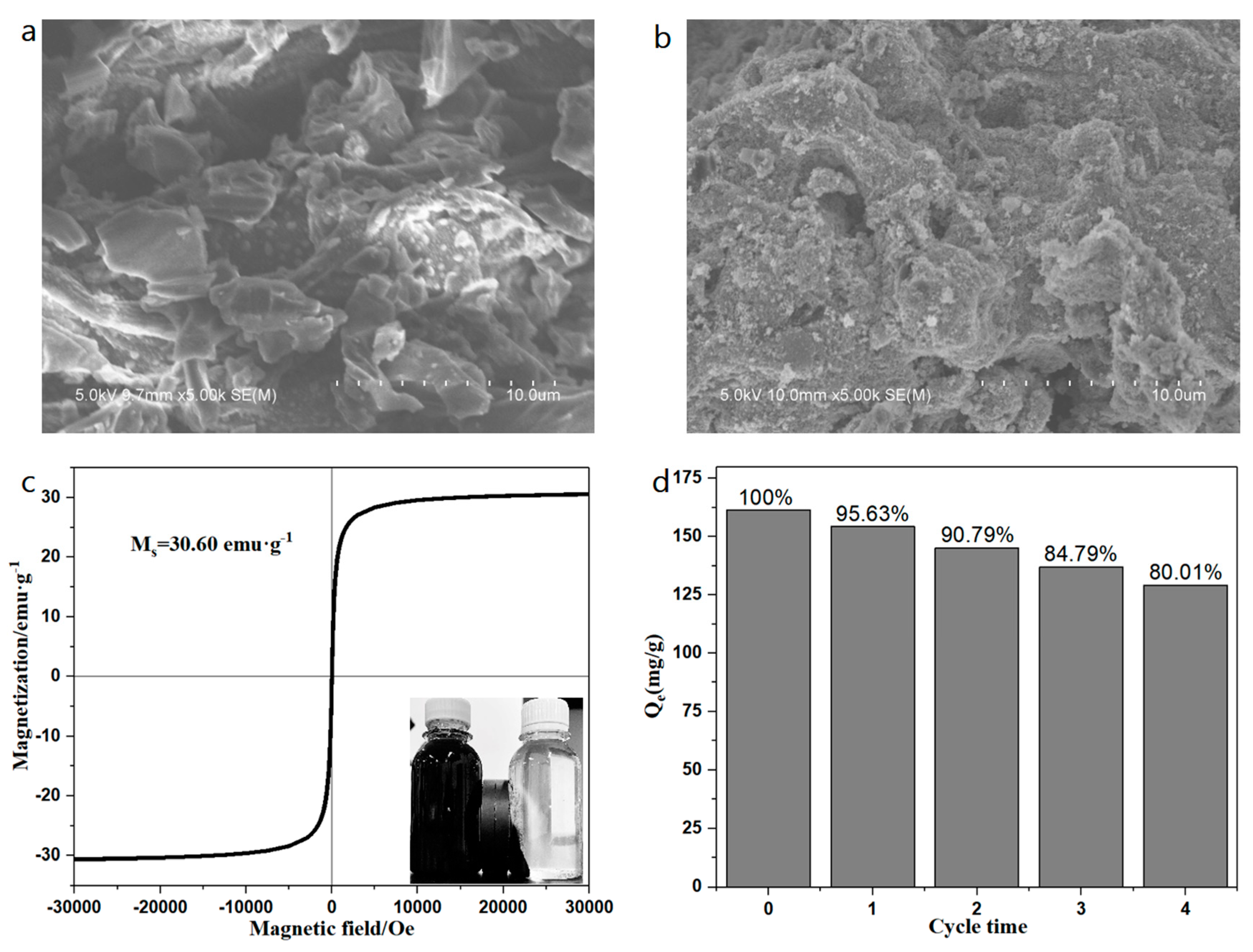 Ijerph 17 01075 g001