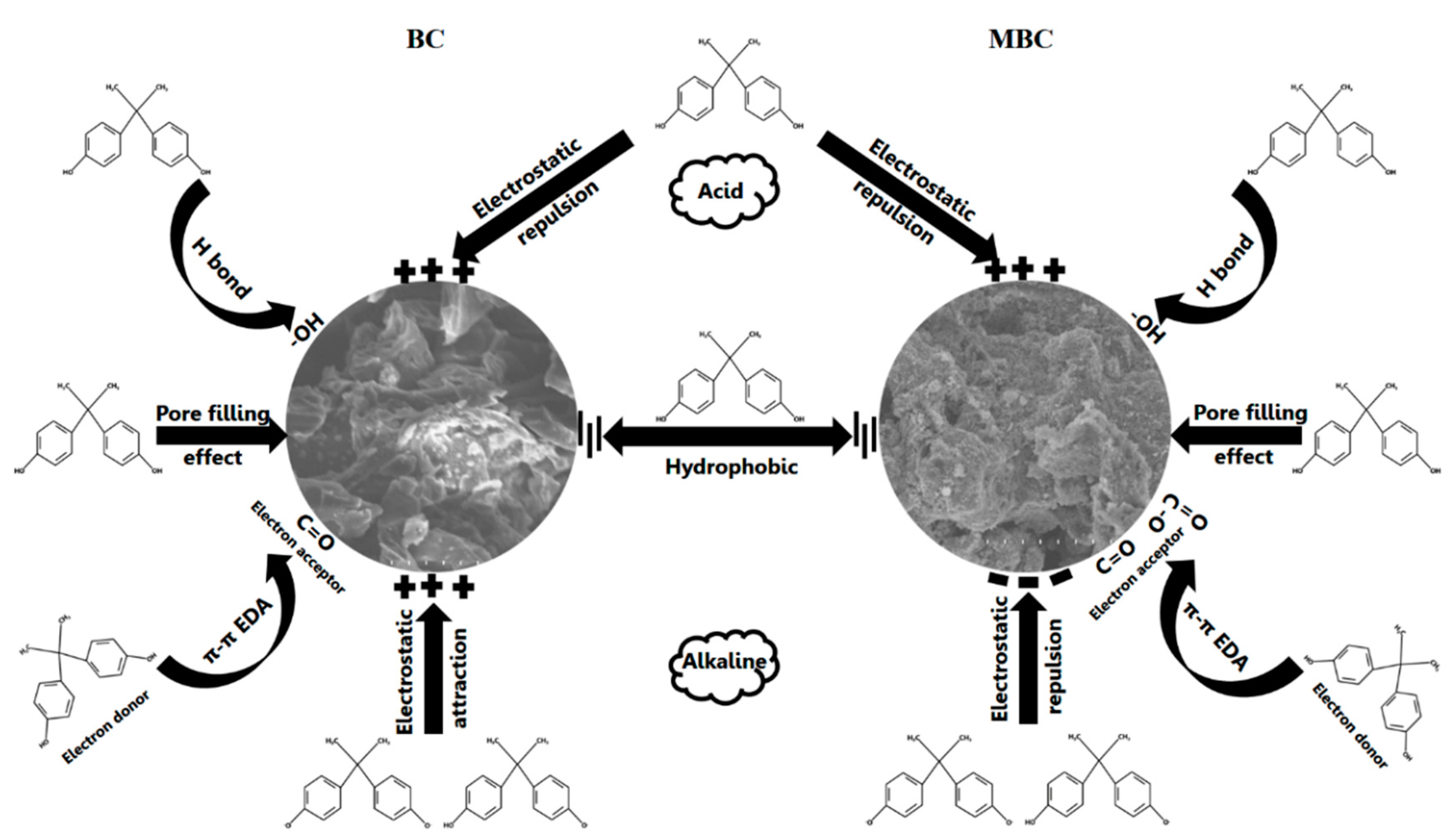 Ijerph 17 01075 g007