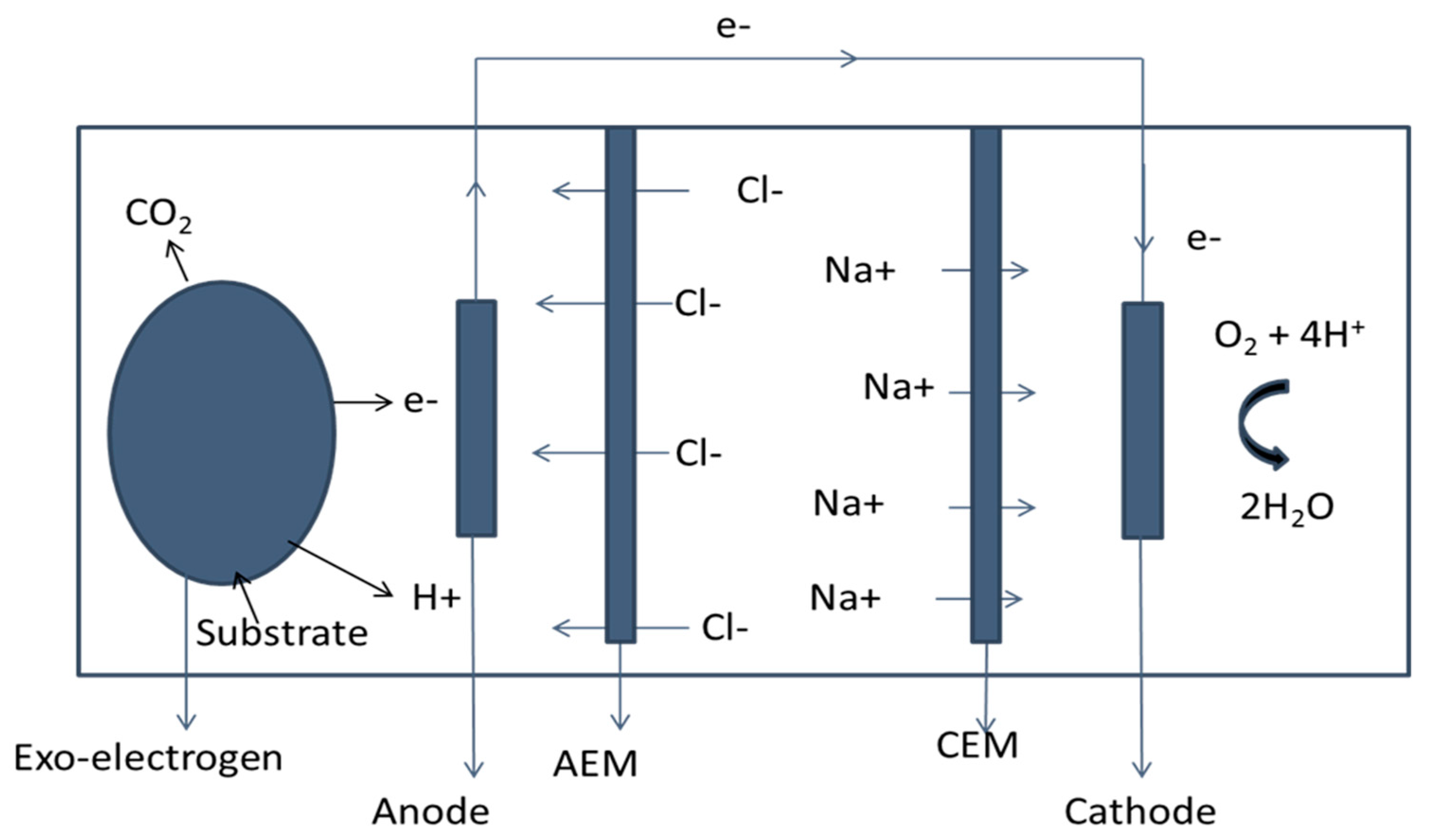 Ijerph 17 01121 g001