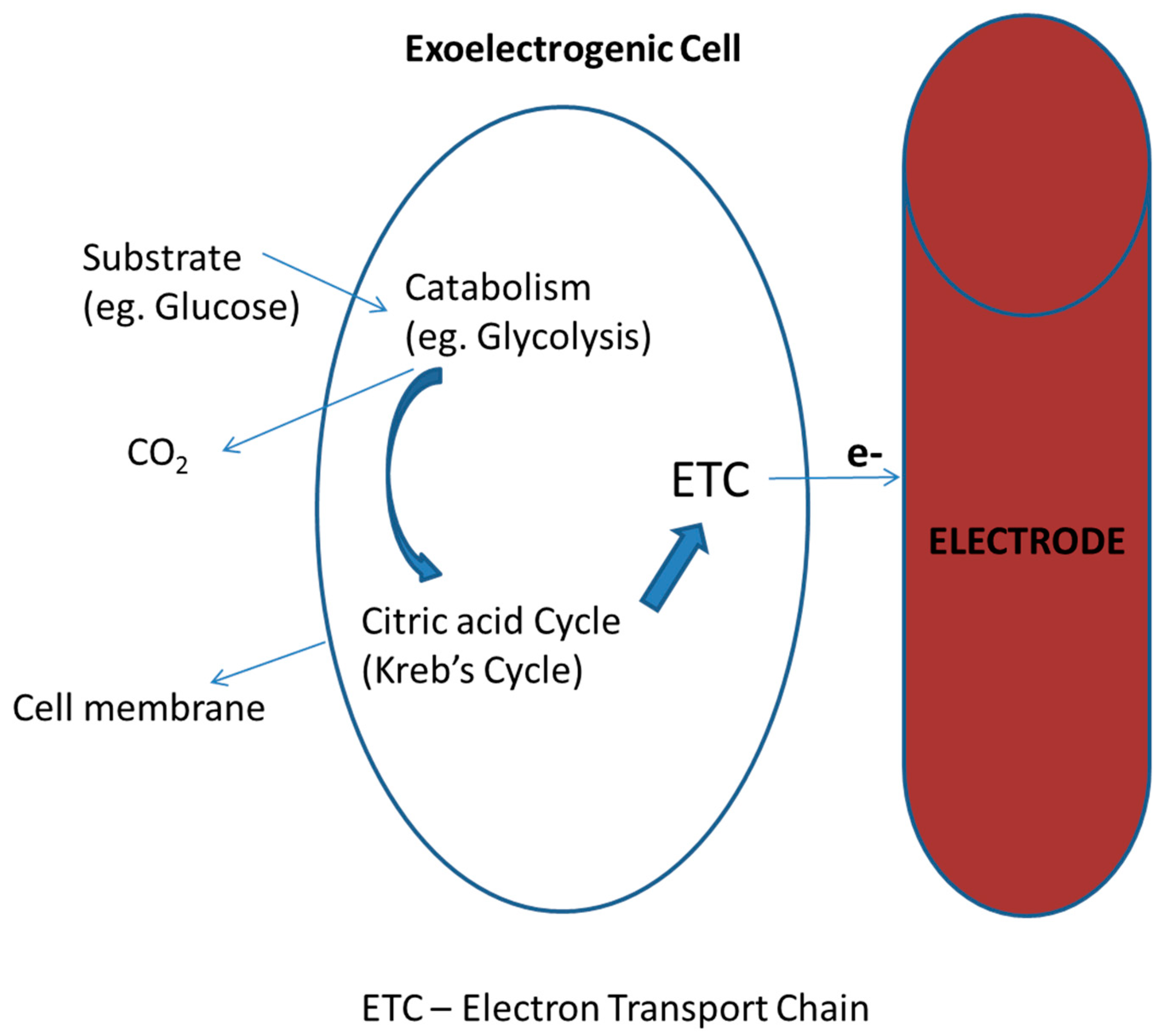 Ijerph 17 01121 g002
