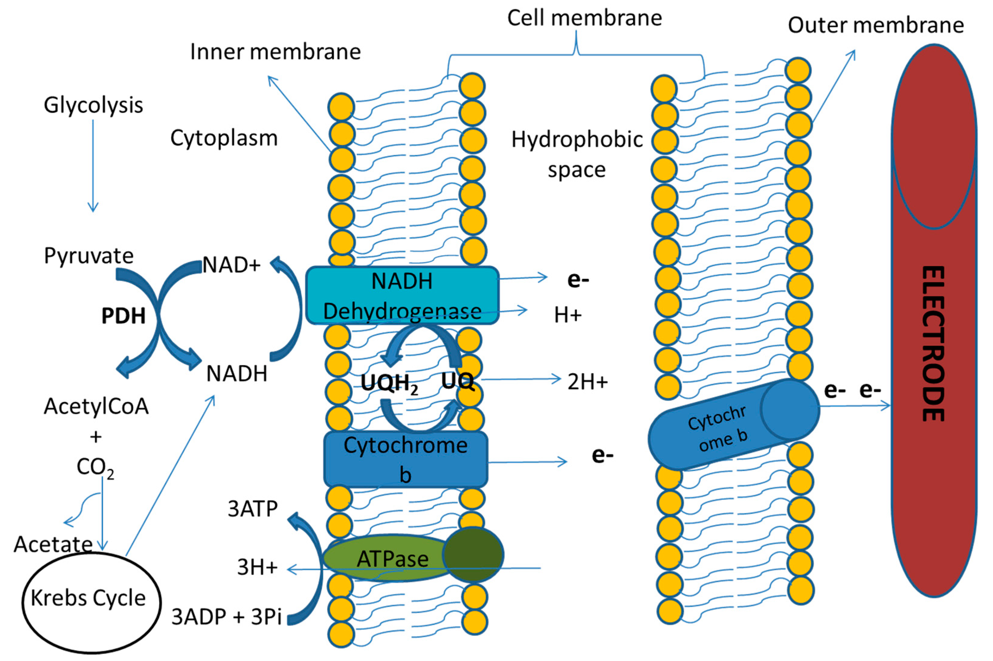 Ijerph 17 01121 g003