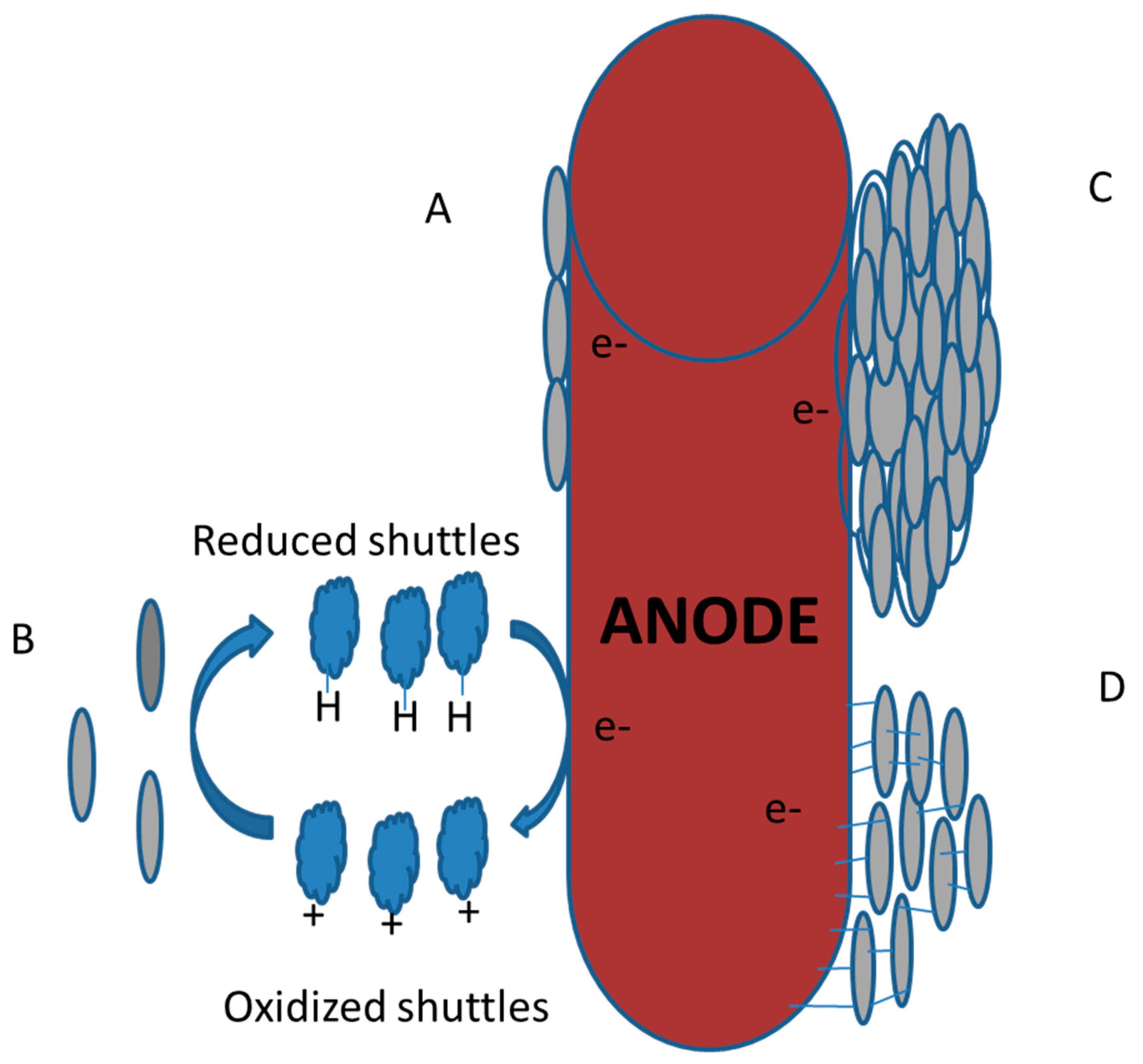 Ijerph 17 01121 g004