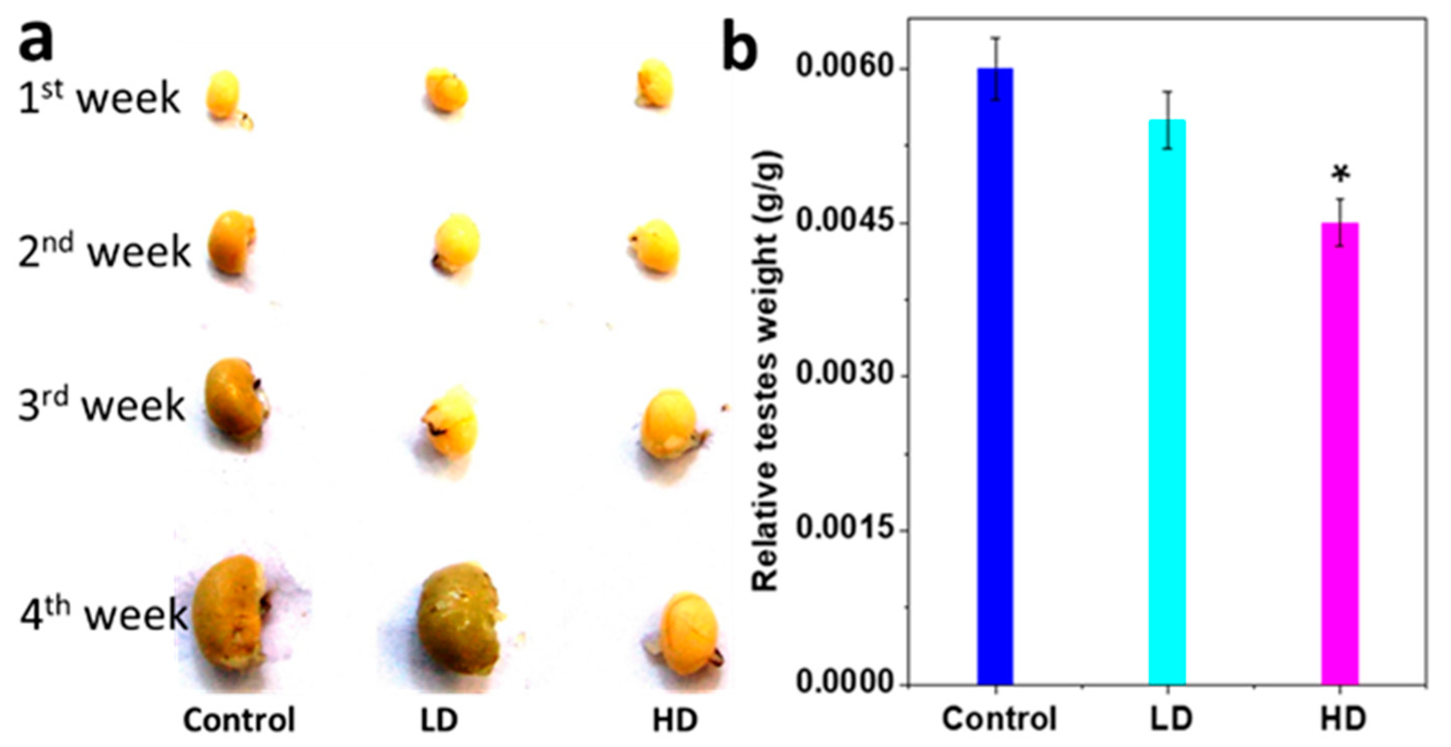 Ijerph 17 01143 g002