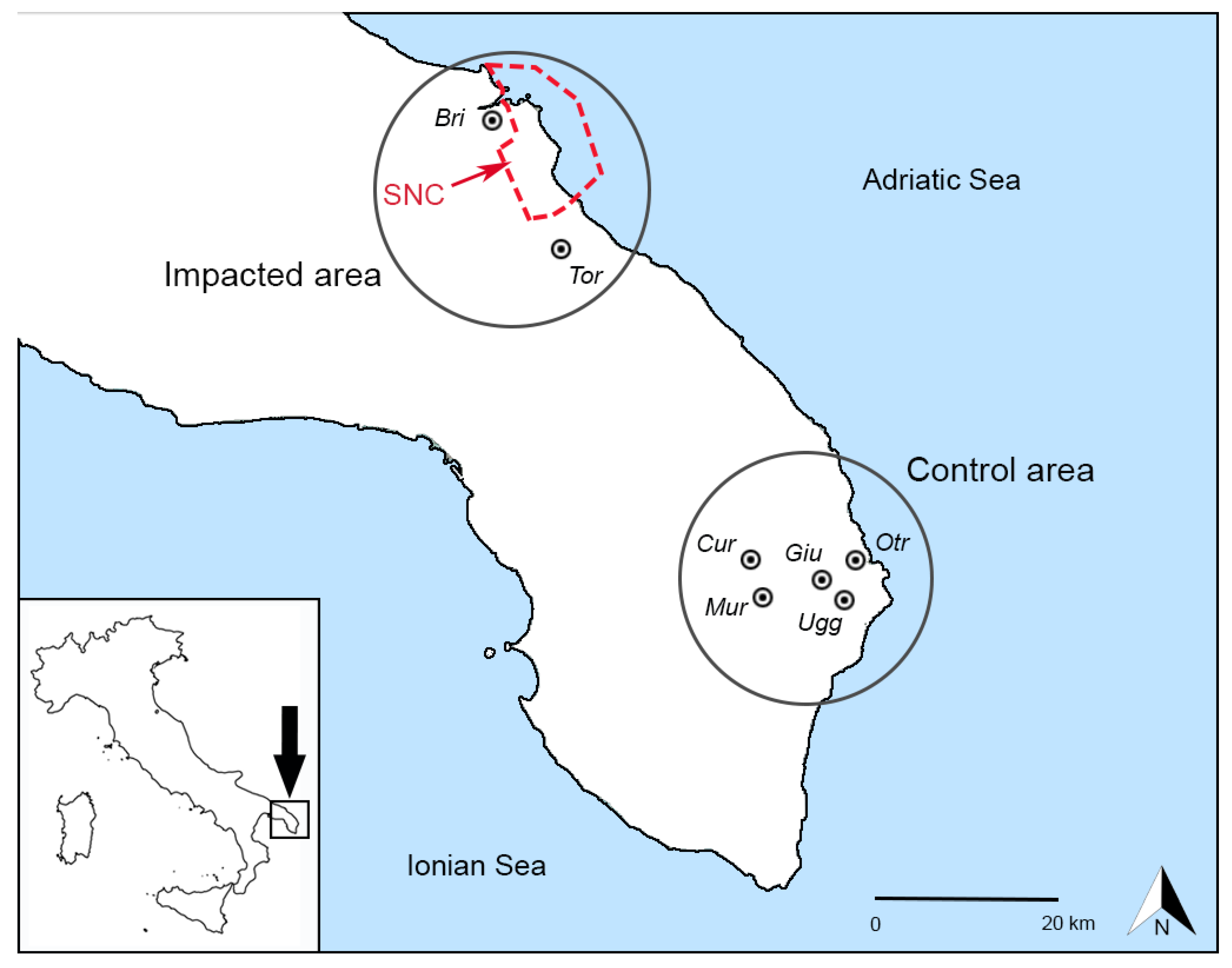 Ijerph 17 01208 g001