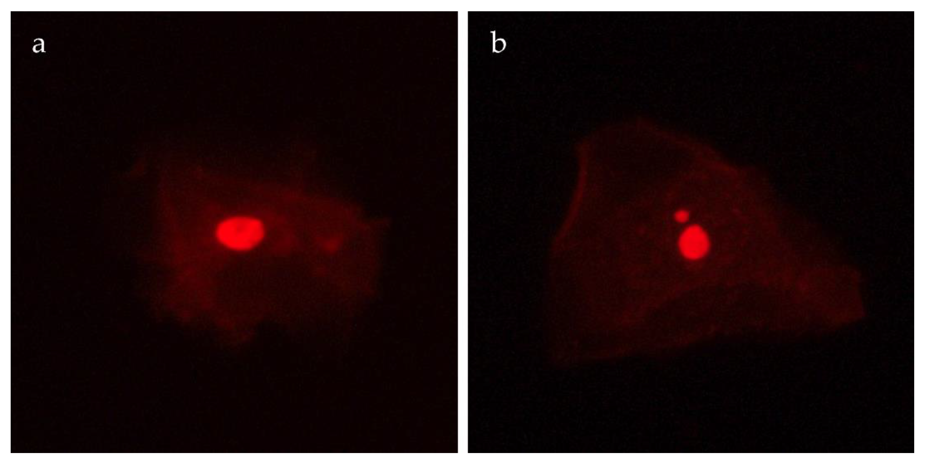Ijerph 17 01208 g002