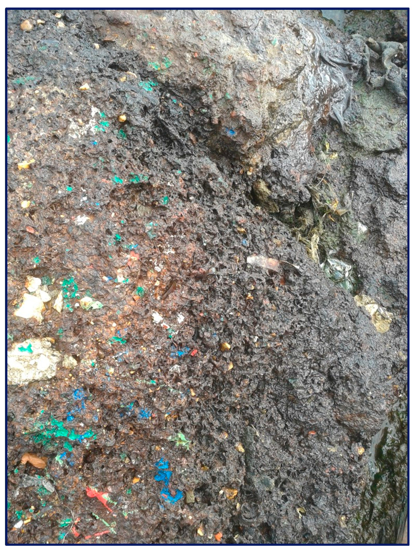 Ijerph 17 01212 g003