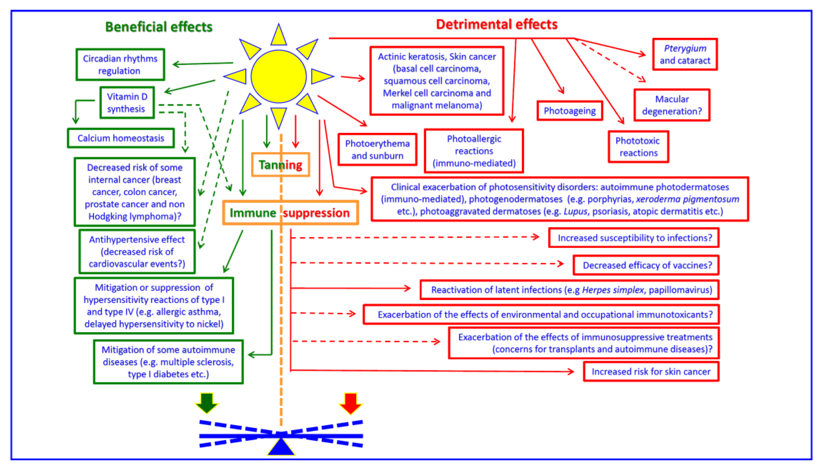 Ijerph 17 01357 g001