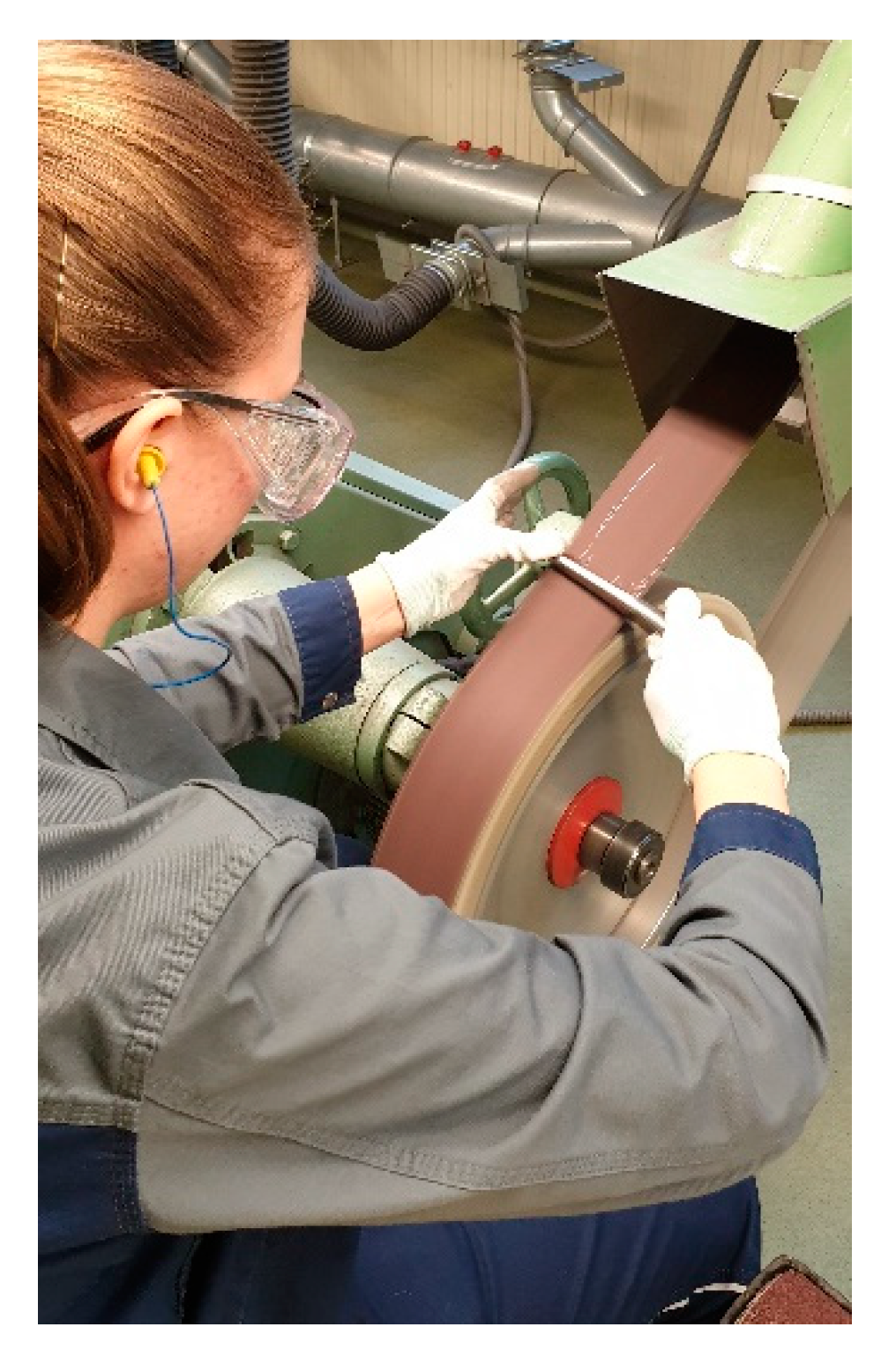 Ijerph 17 01383 g001