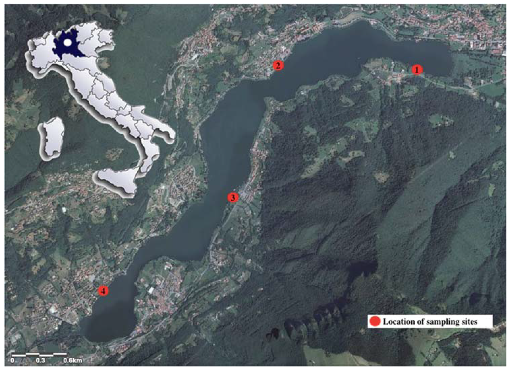 Ijerph 17 01389 g001 Ijerph 17 01389 g001