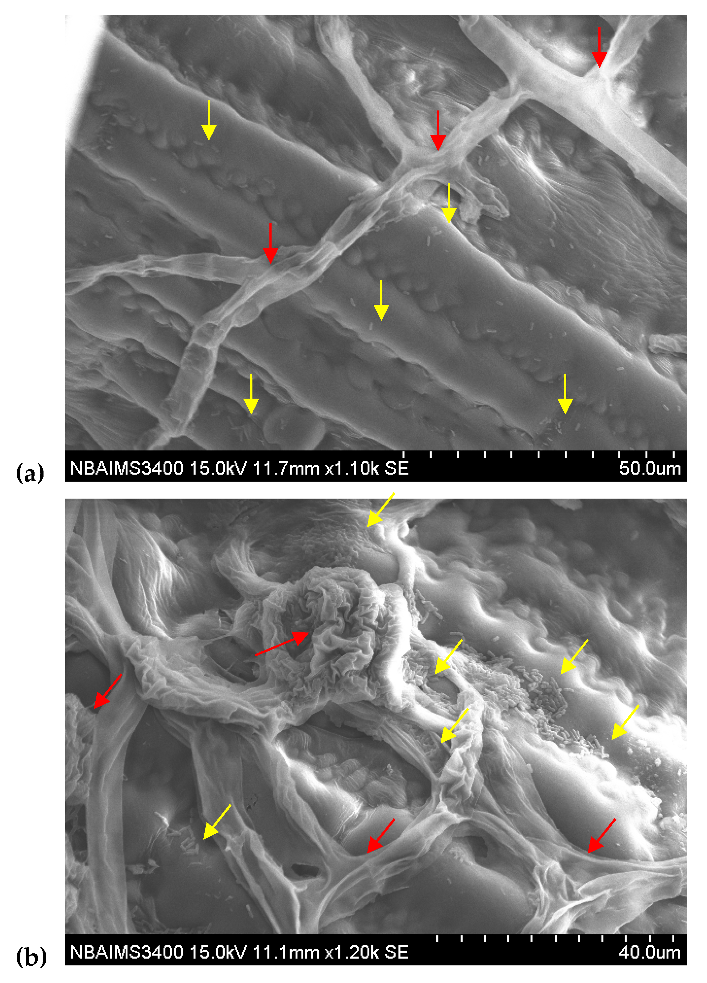 Ijerph 17 01396 g008