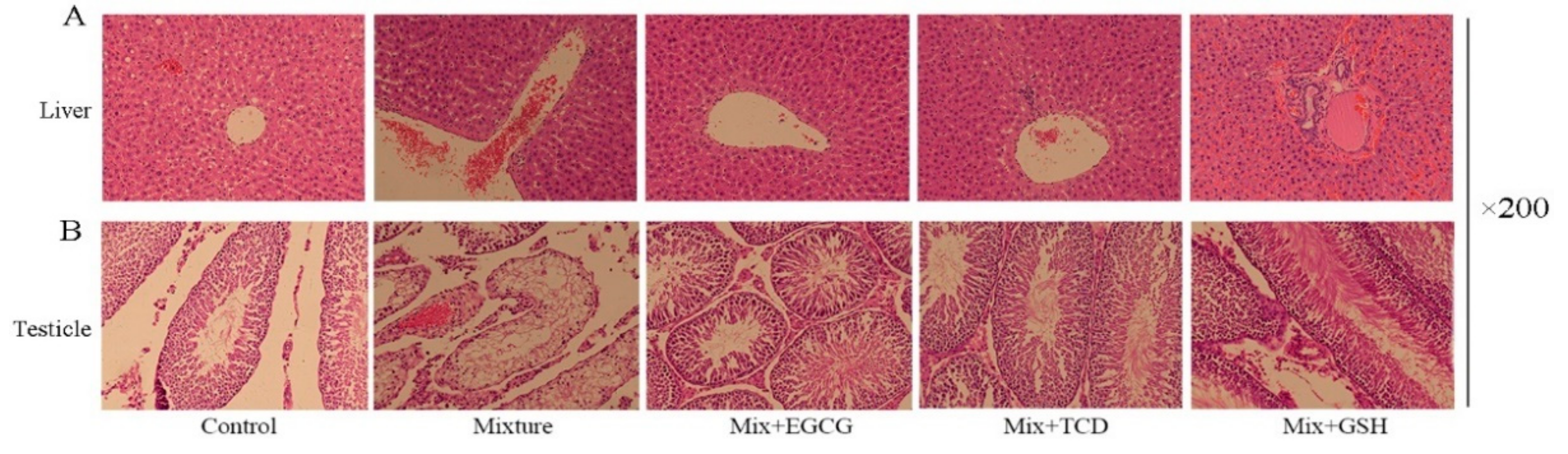 Ijerph 17 01451 g002 Ijerph 17 01451 g002