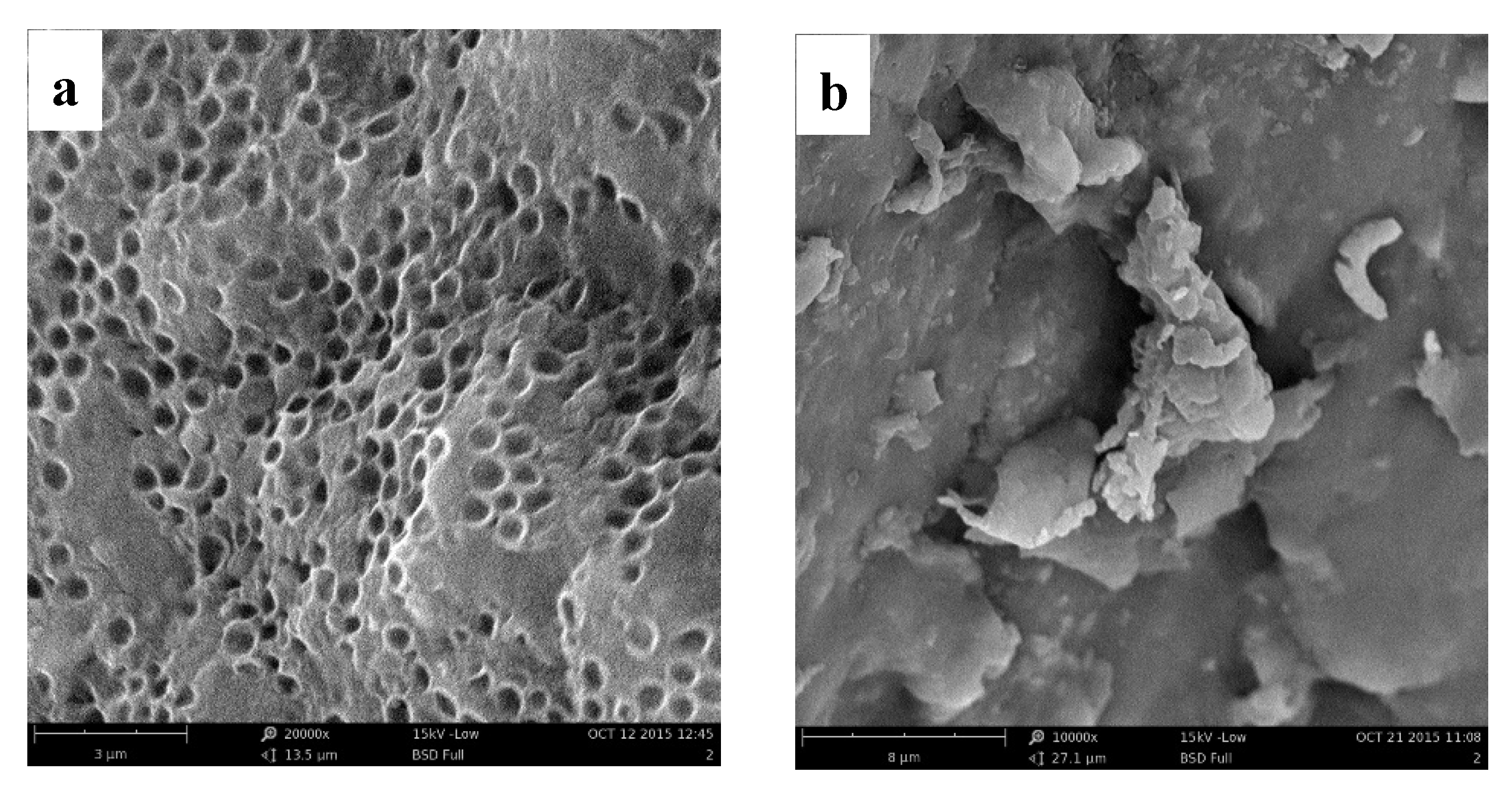 Ijerph 17 01488 g002