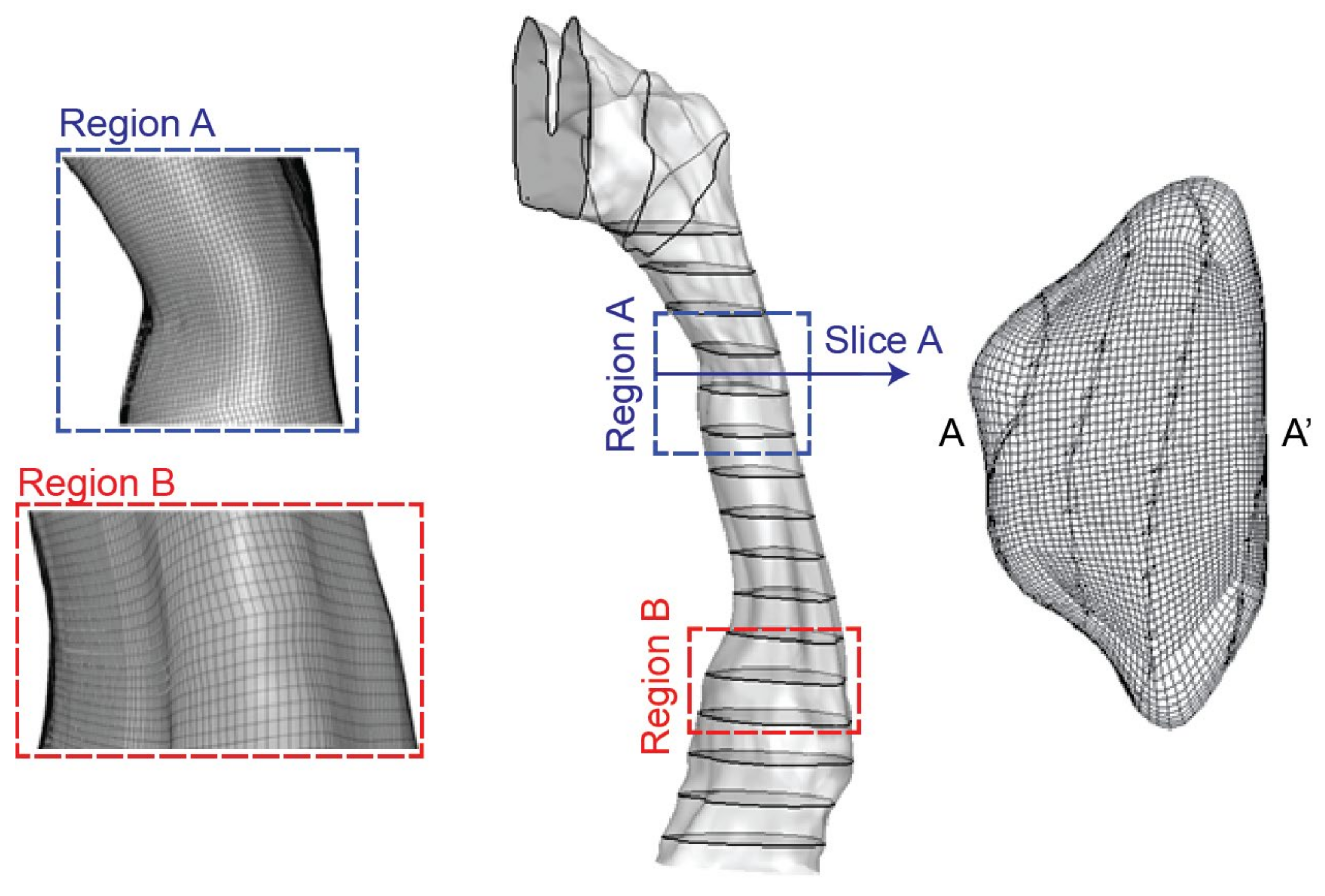 Ijerph 17 01556 g002