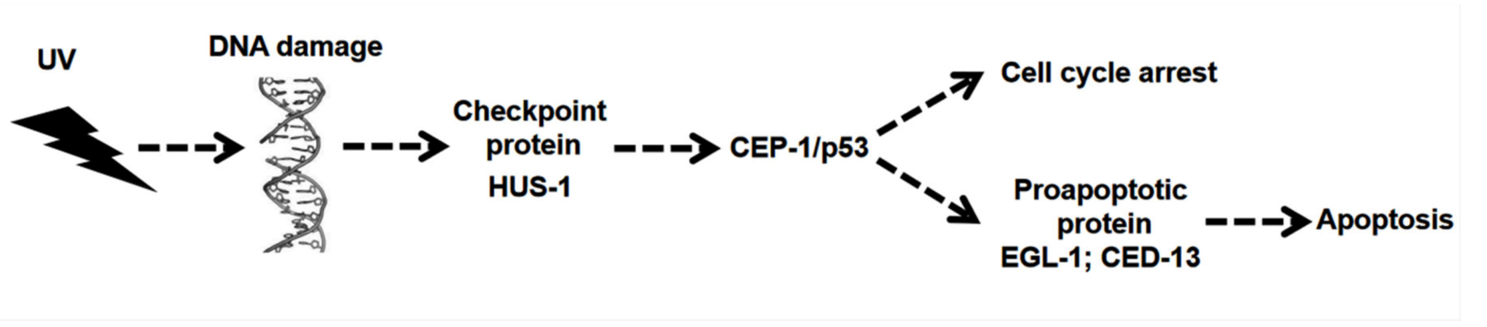 Ijerph 17 01572 g001 Ijerph 17 01572 g001