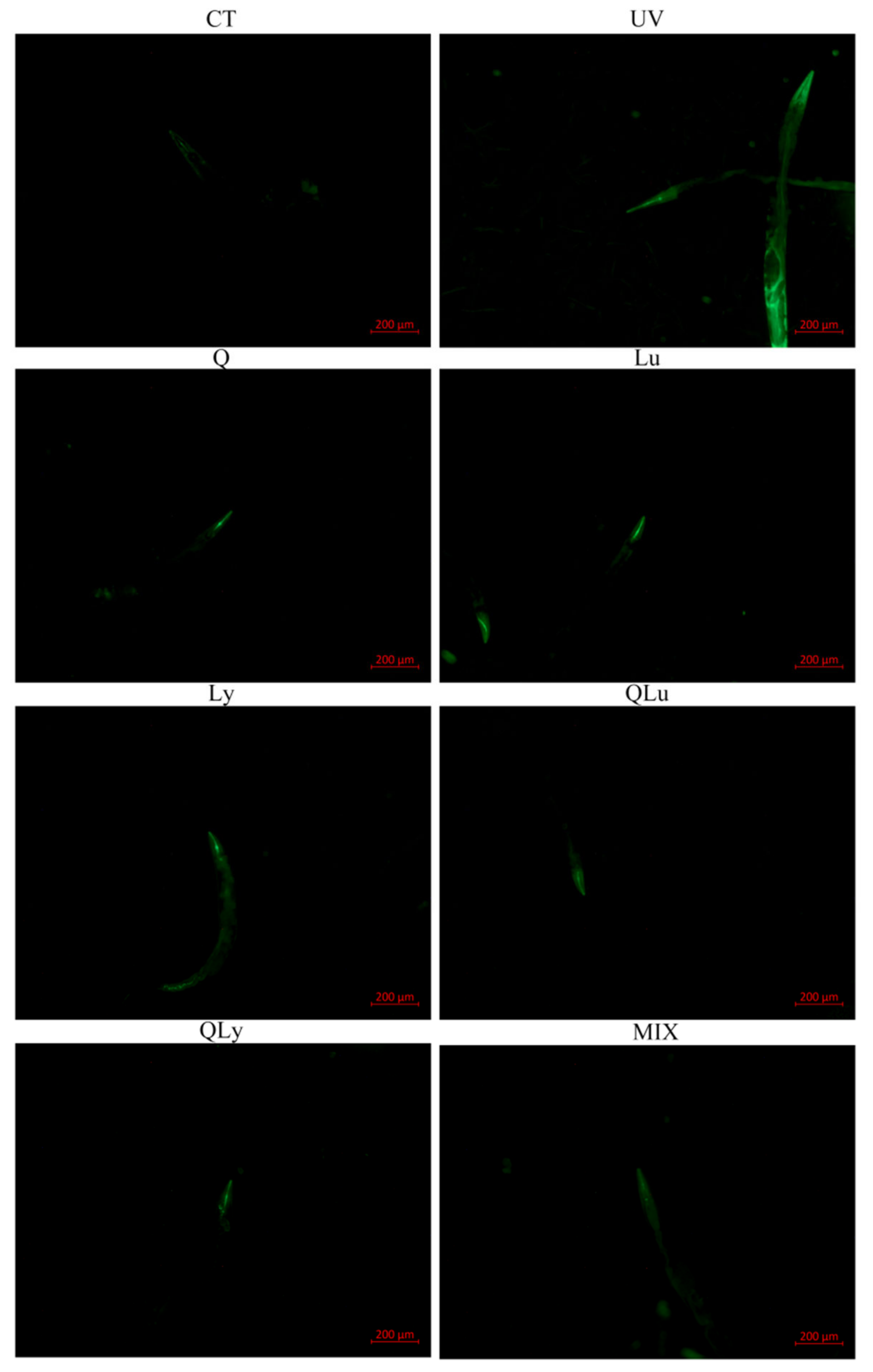 Ijerph 17 01572 g002a Ijerph 17 01572 g002a