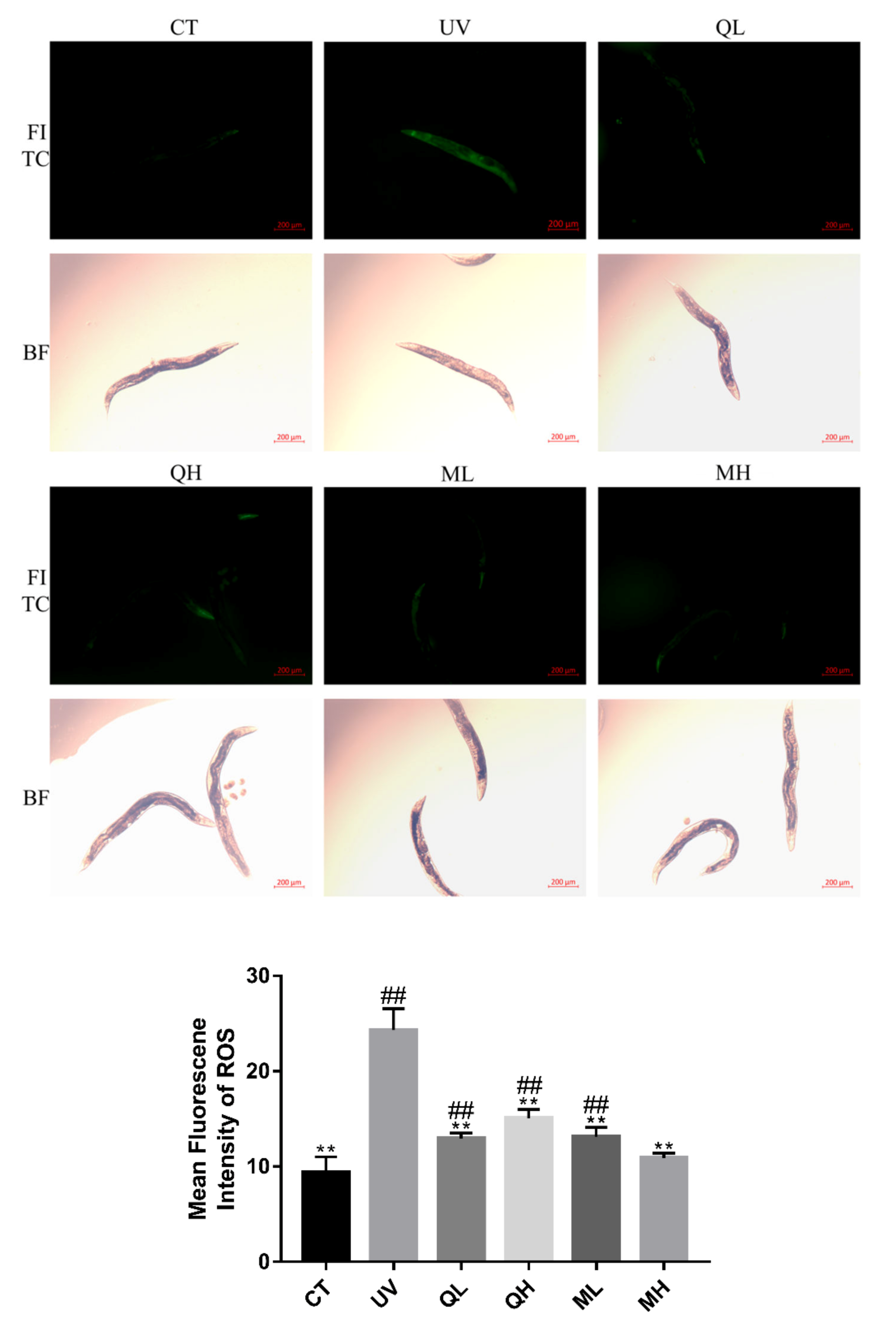 Ijerph 17 01572 g004 Ijerph 17 01572 g004
