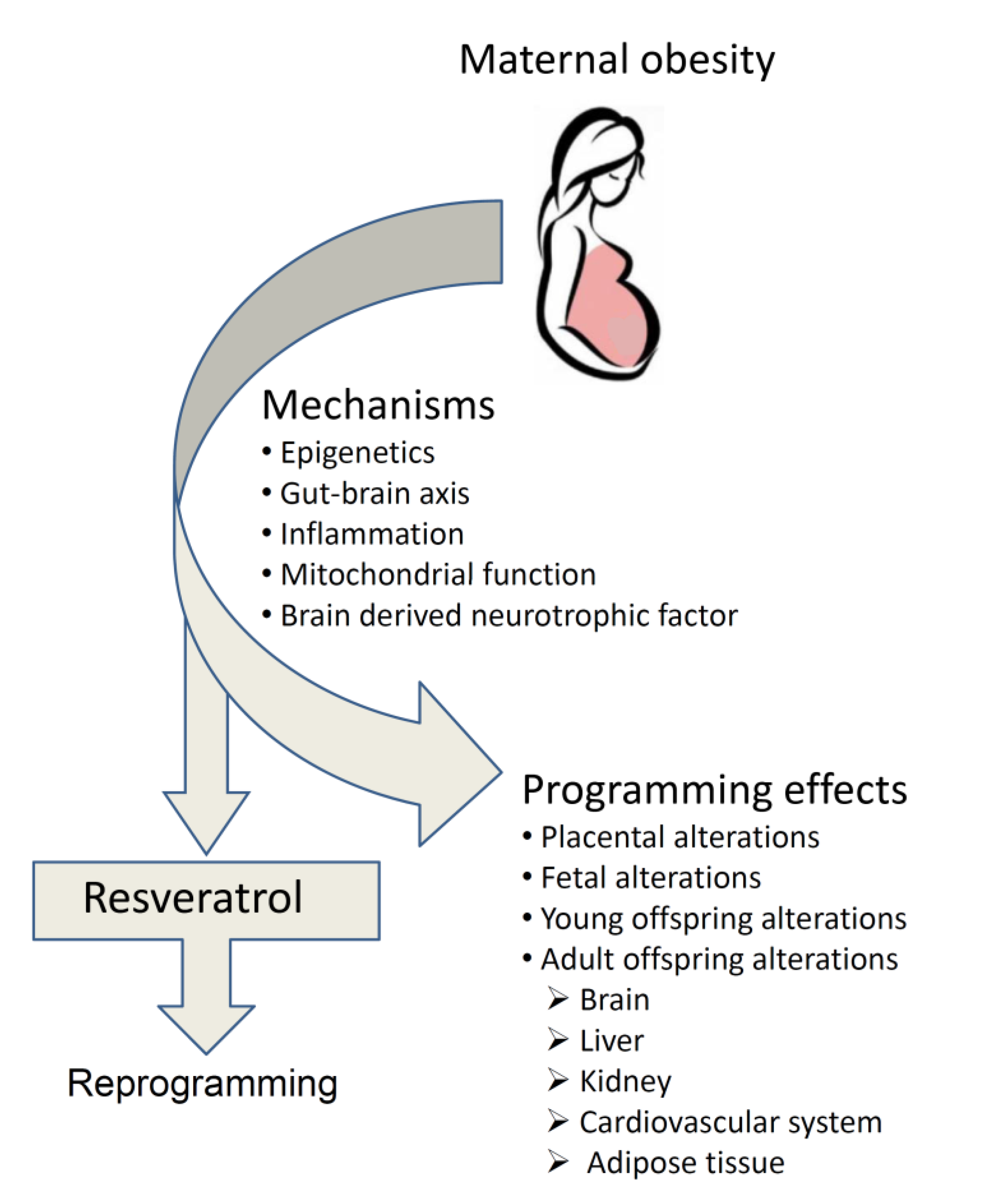 Ijerph 17 01610 g001 Ijerph 17 01610 g001
