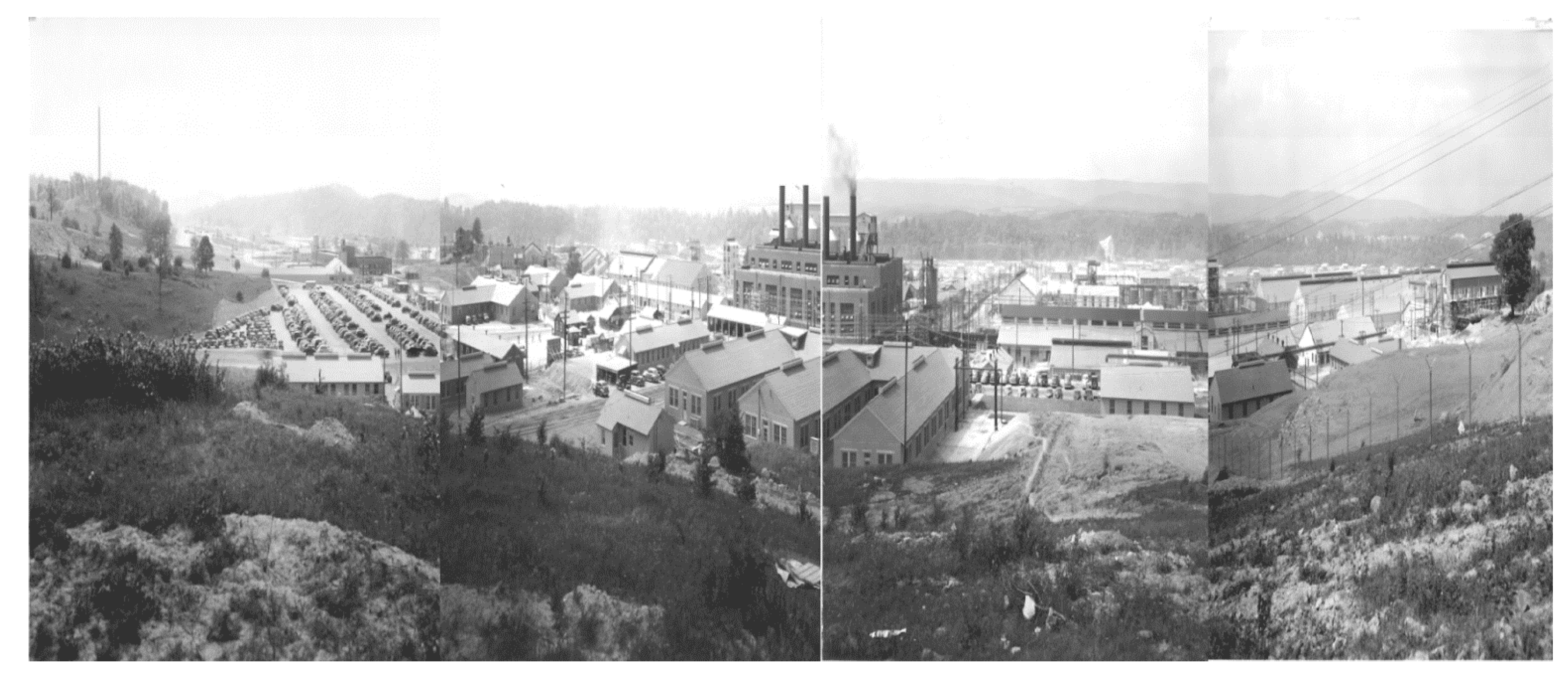 Ijerph 17 01695 g001