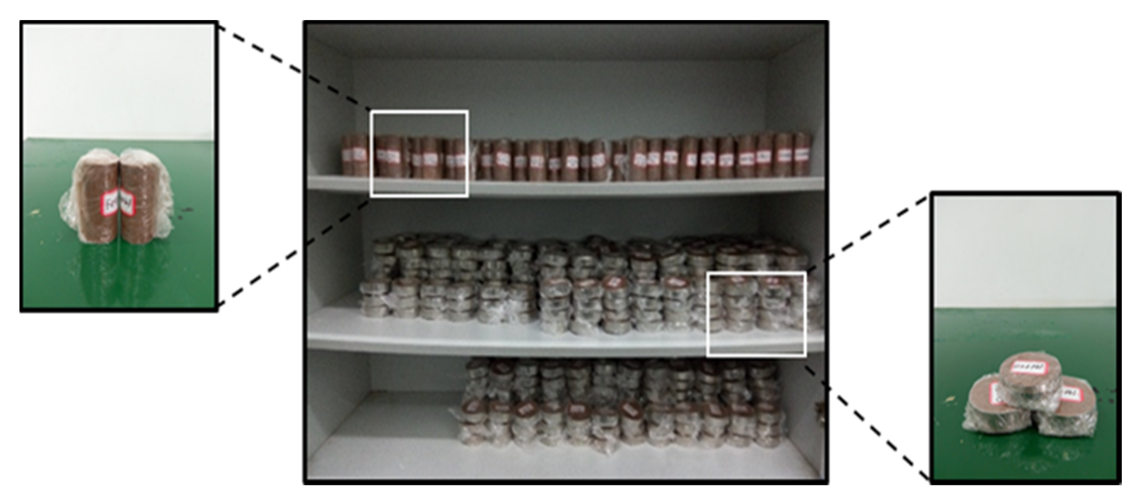 Ijerph 17 01798 g001