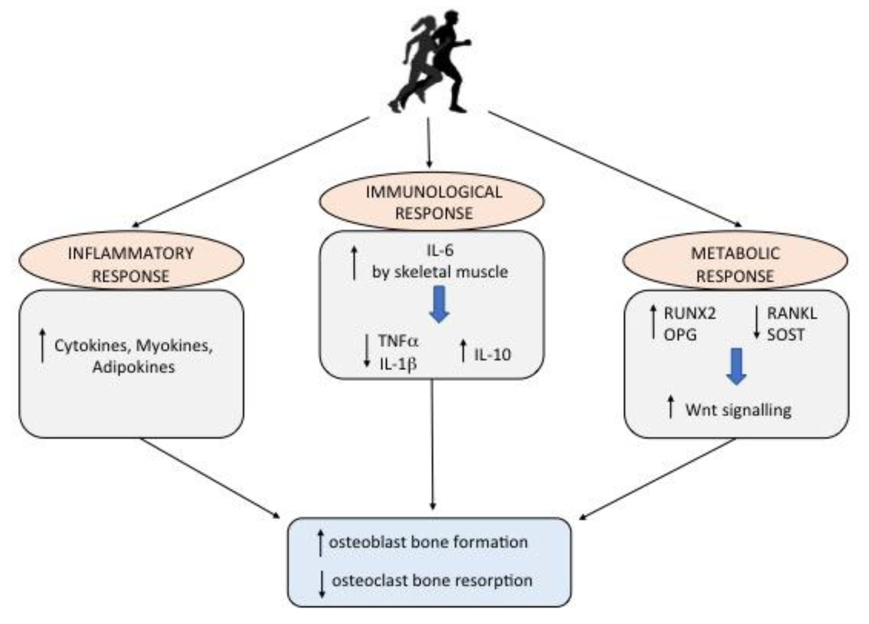 Ijerph 17 01862 g001